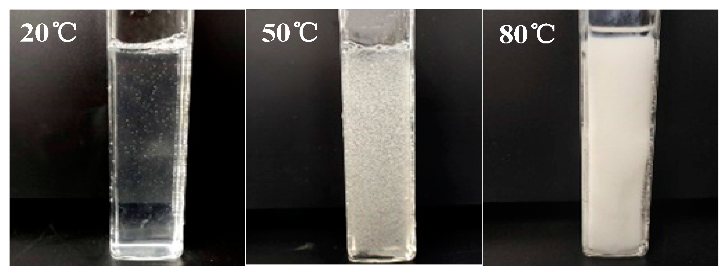 Polymers 13 00367 g005
