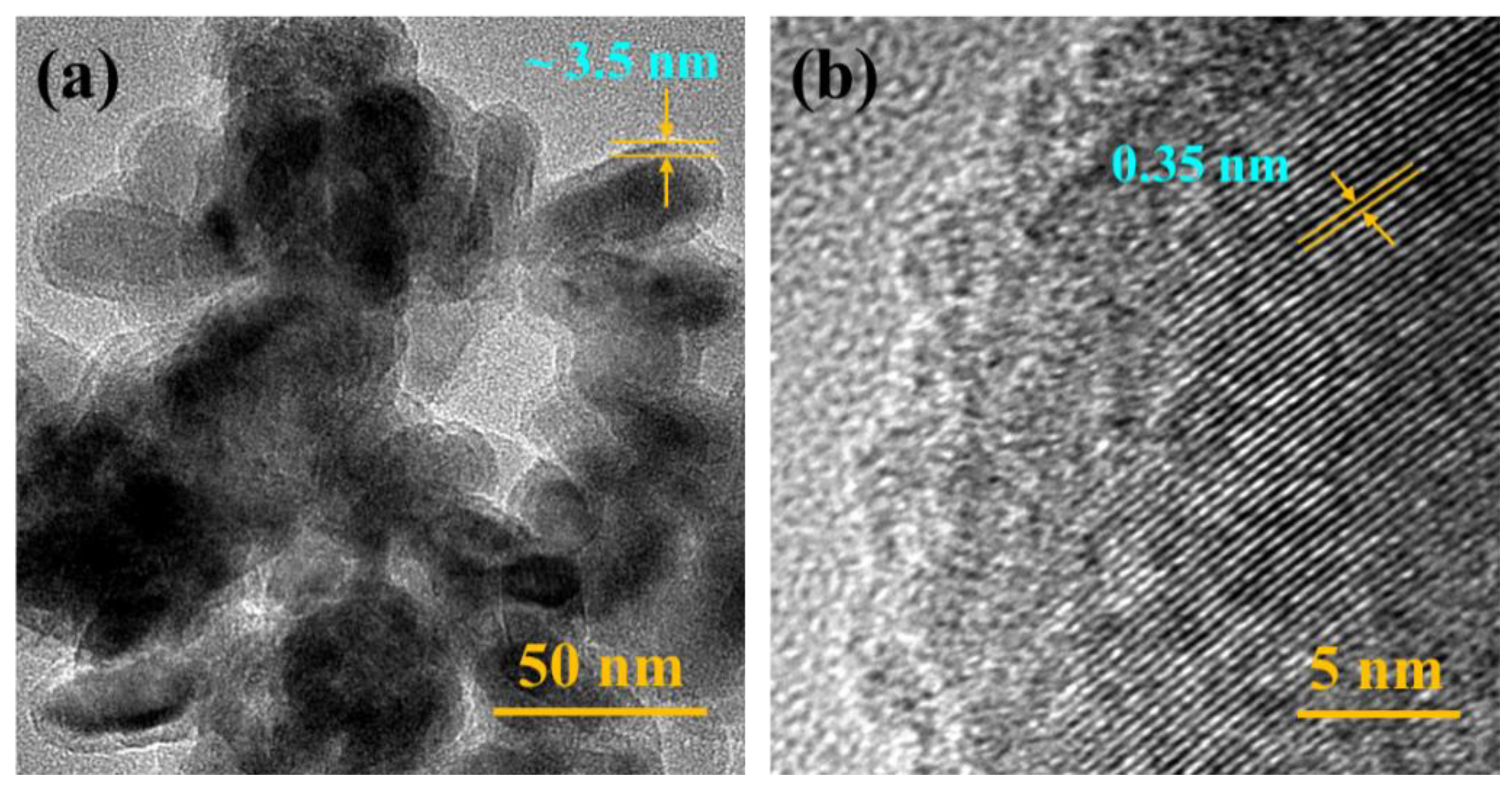 Polymers 13 00368 g001