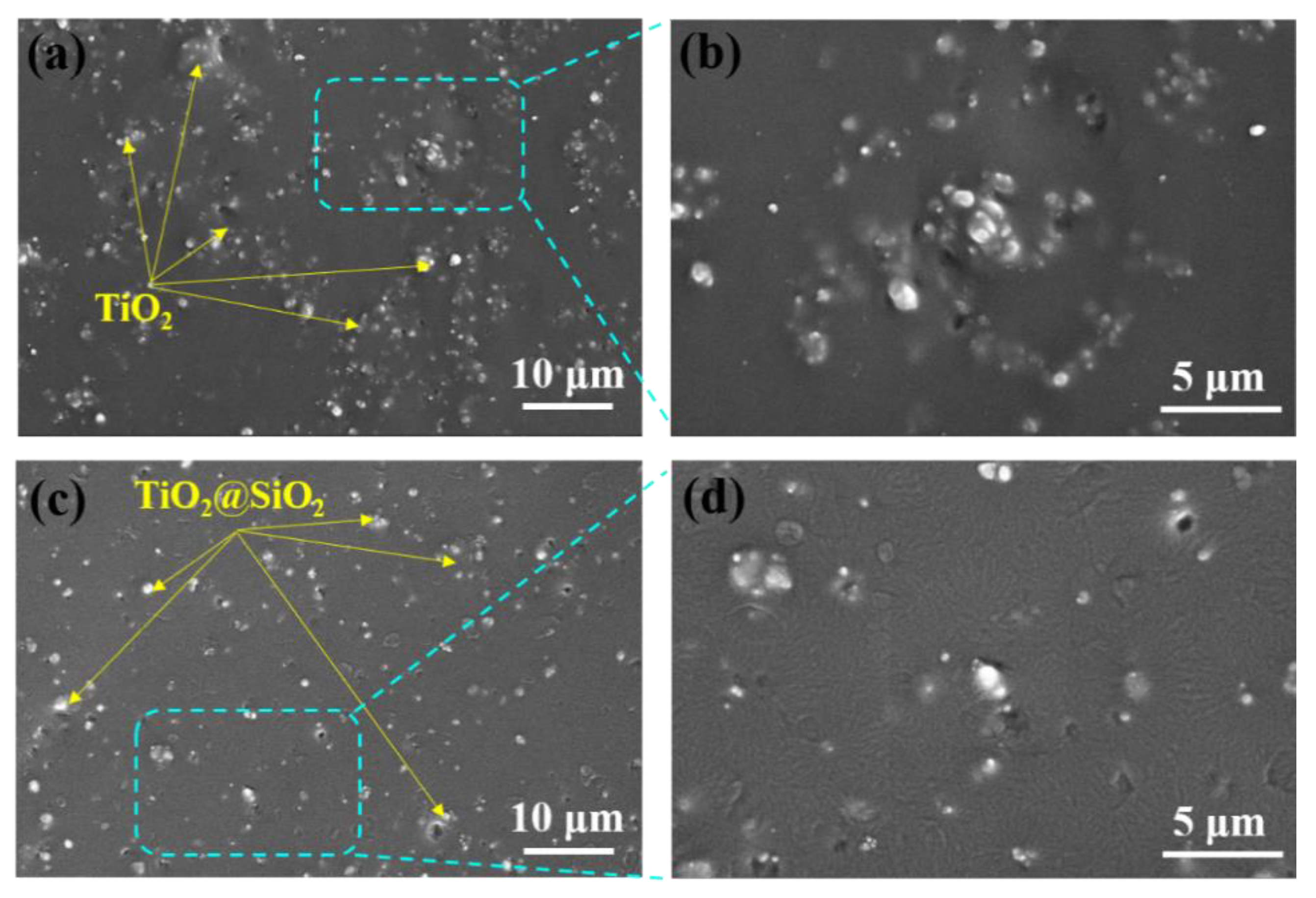 Polymers 13 00368 g003