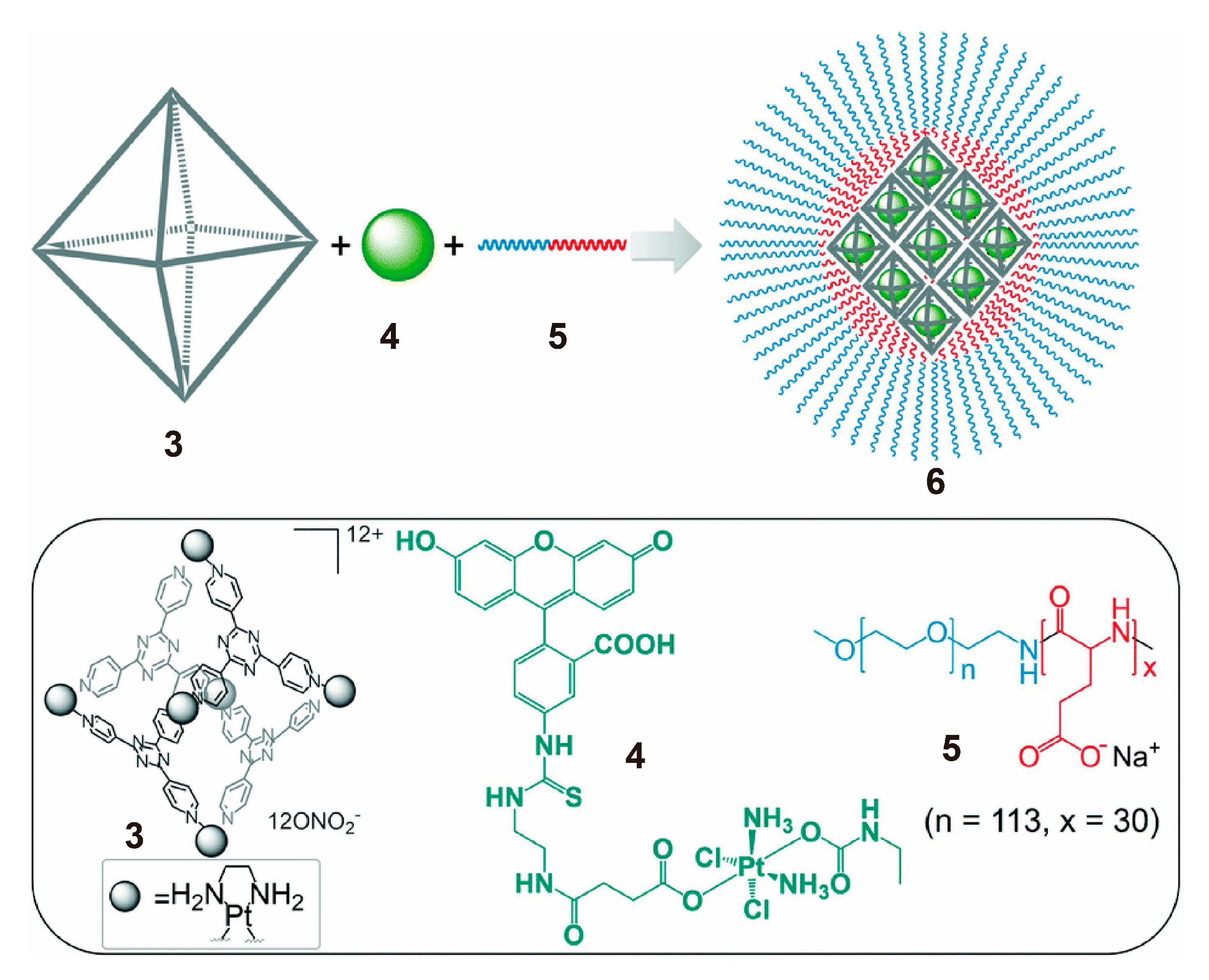 Polymers 13 00370 g002
