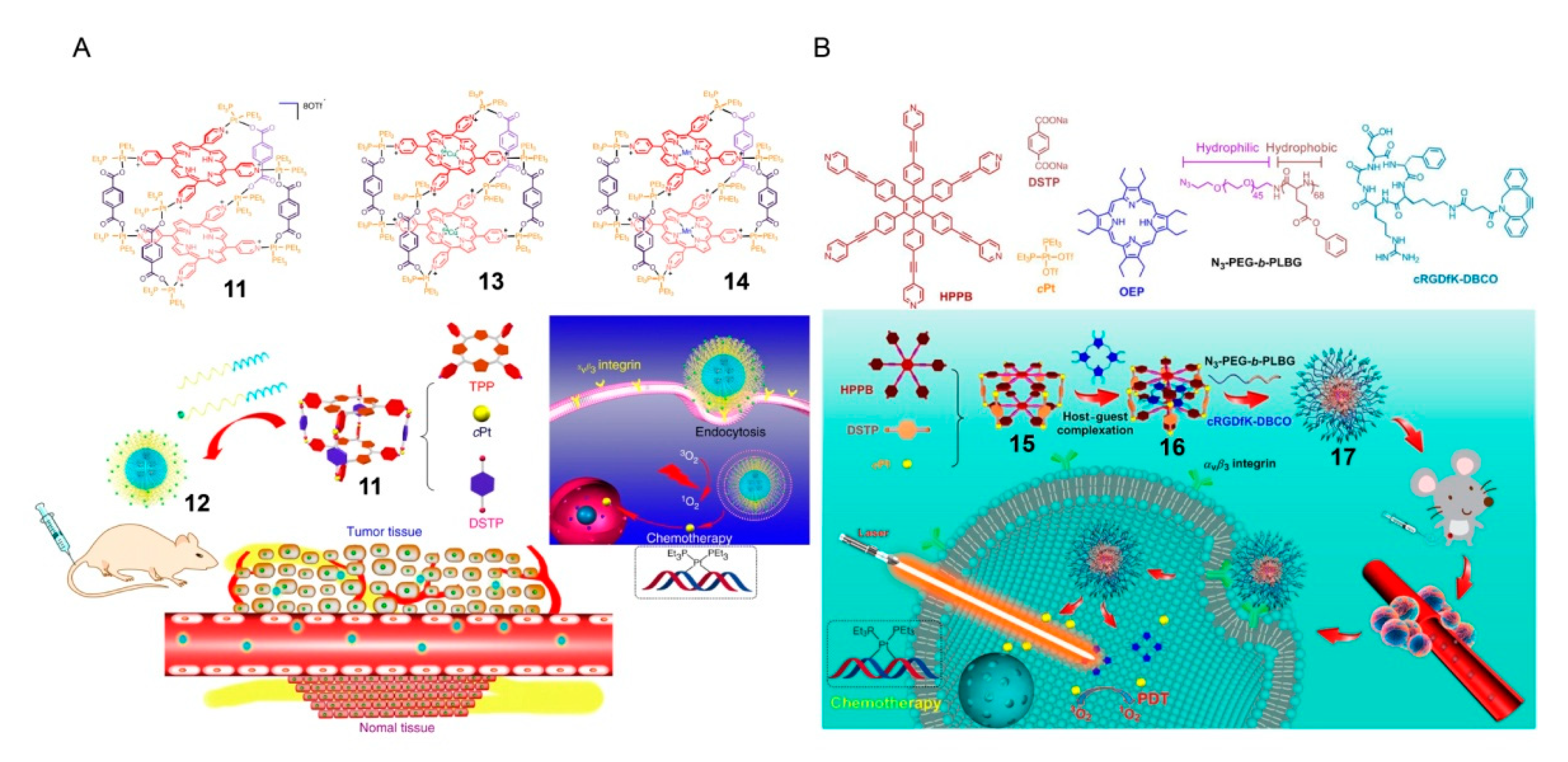 Polymers 13 00370 g004