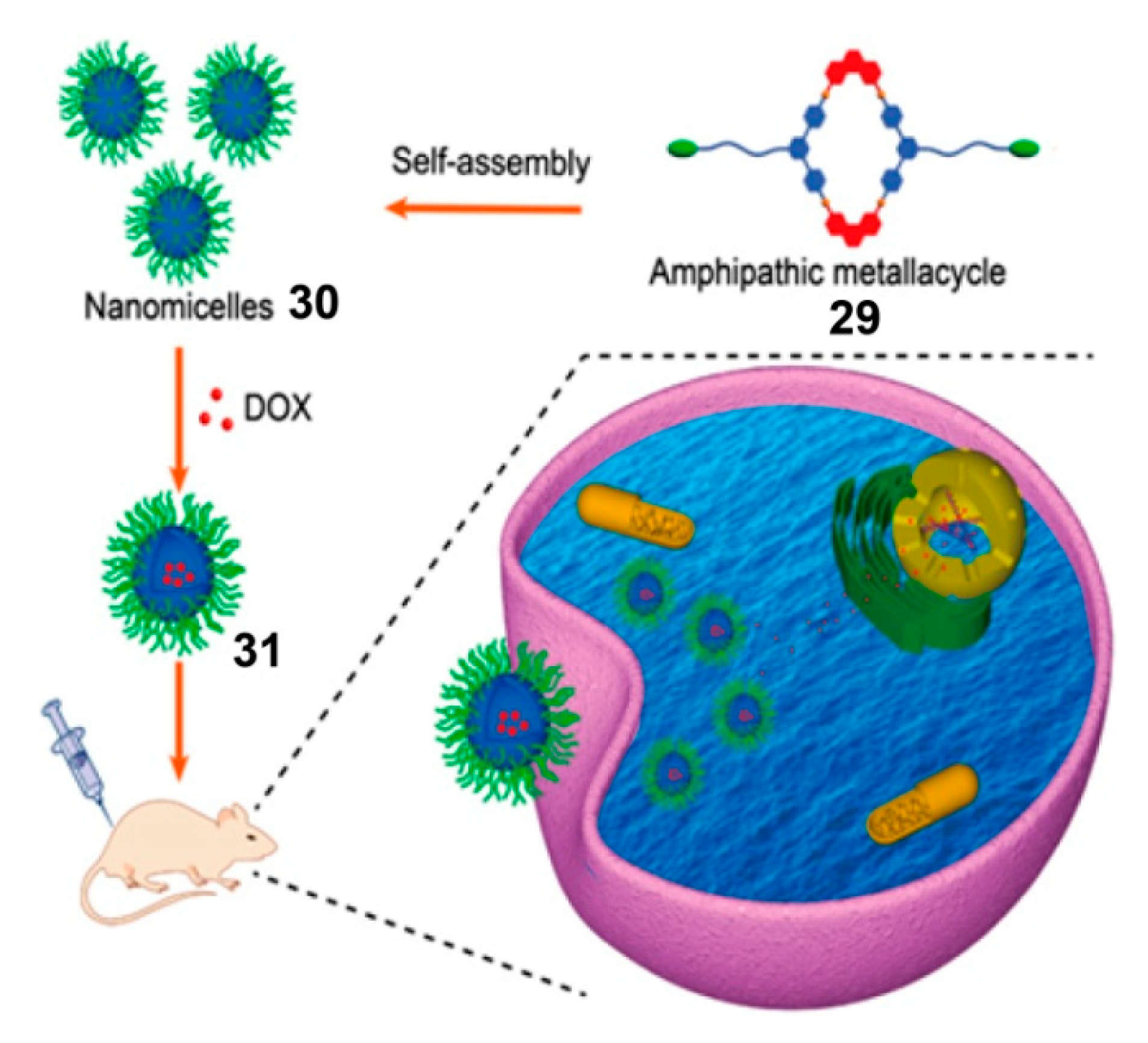 Polymers 13 00370 g008