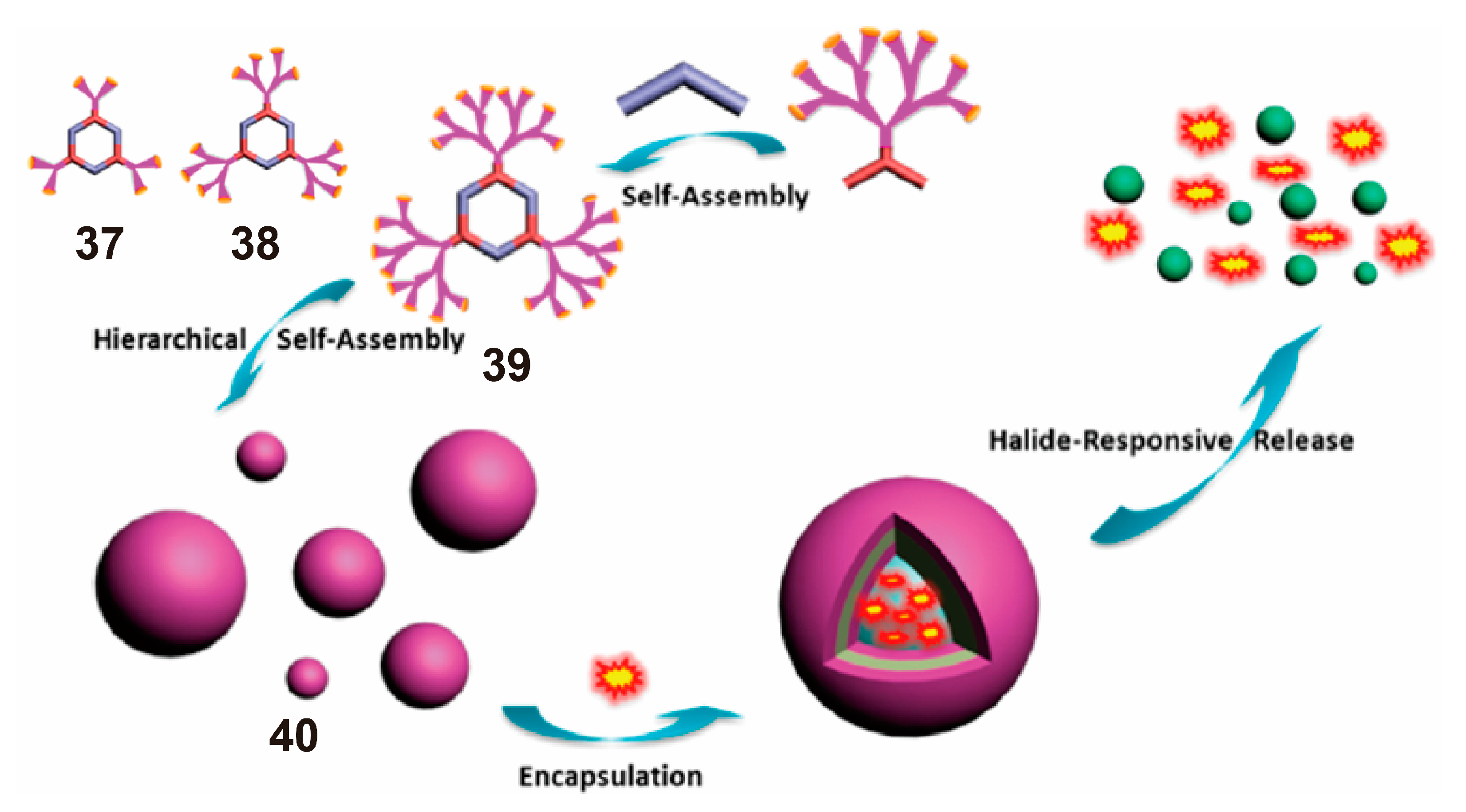 Polymers 13 00370 g010
