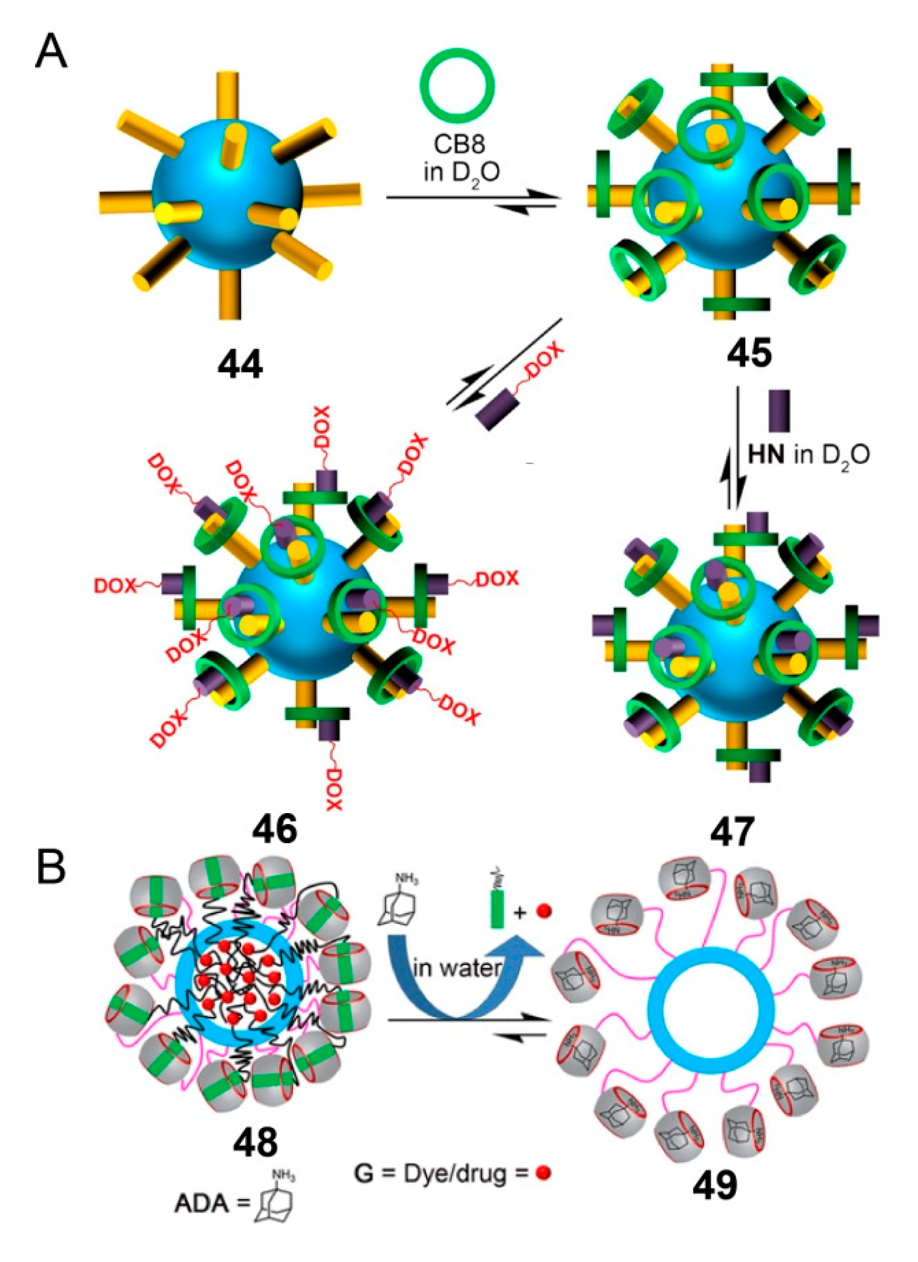 Polymers 13 00370 g012