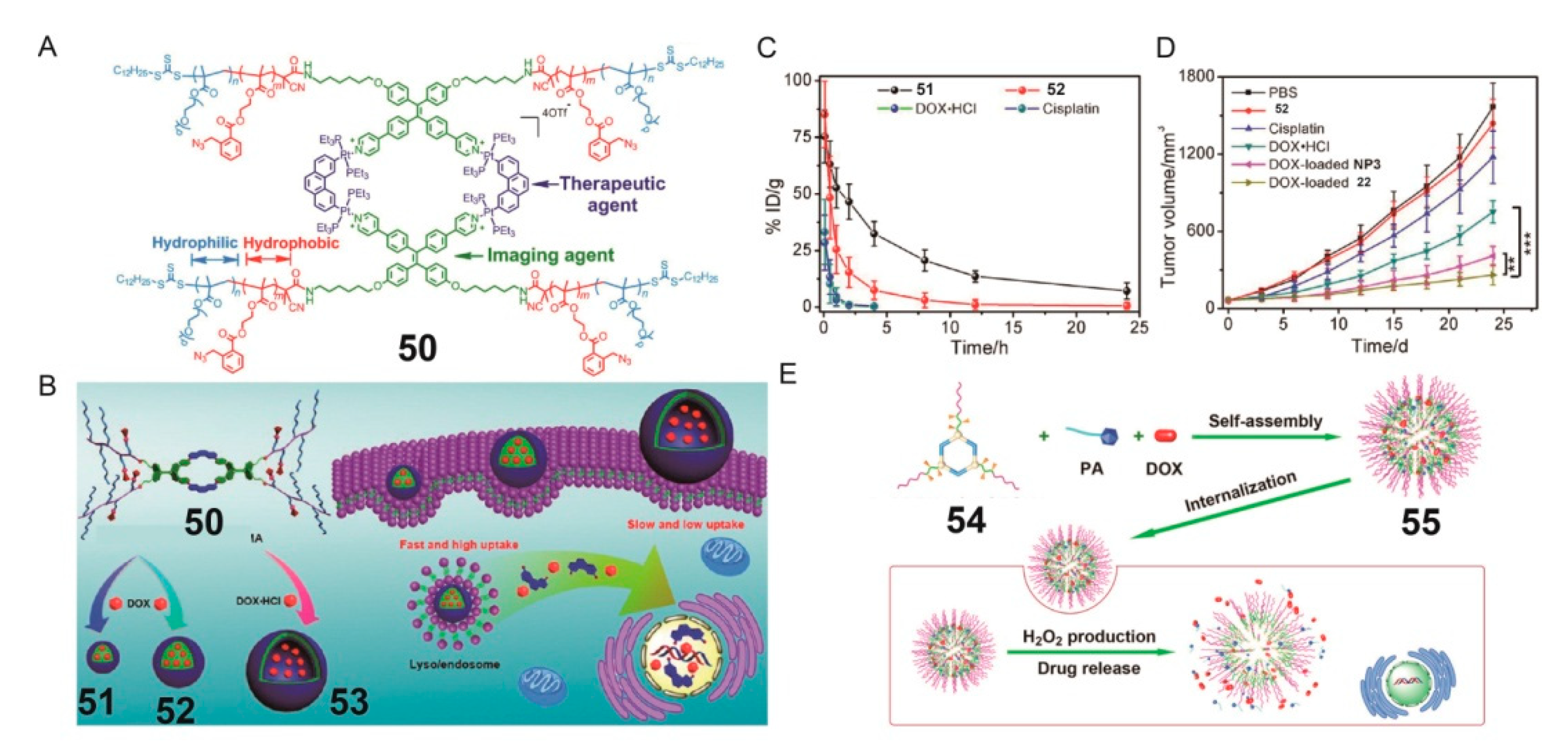 Polymers 13 00370 g013