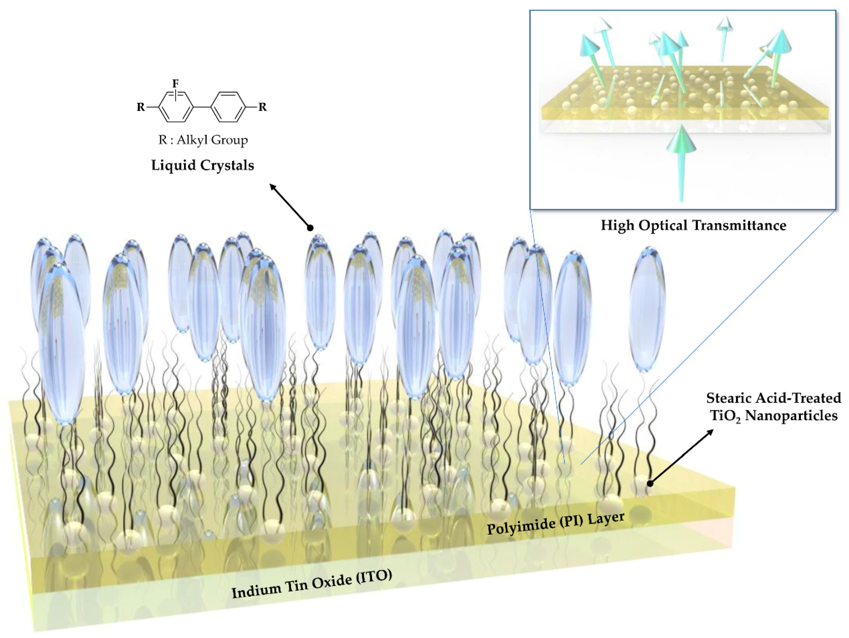 Polymers 13 00376 g001