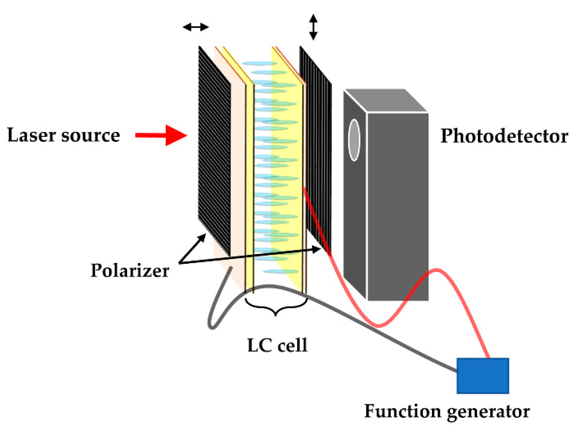 Polymers 13 00376 g002