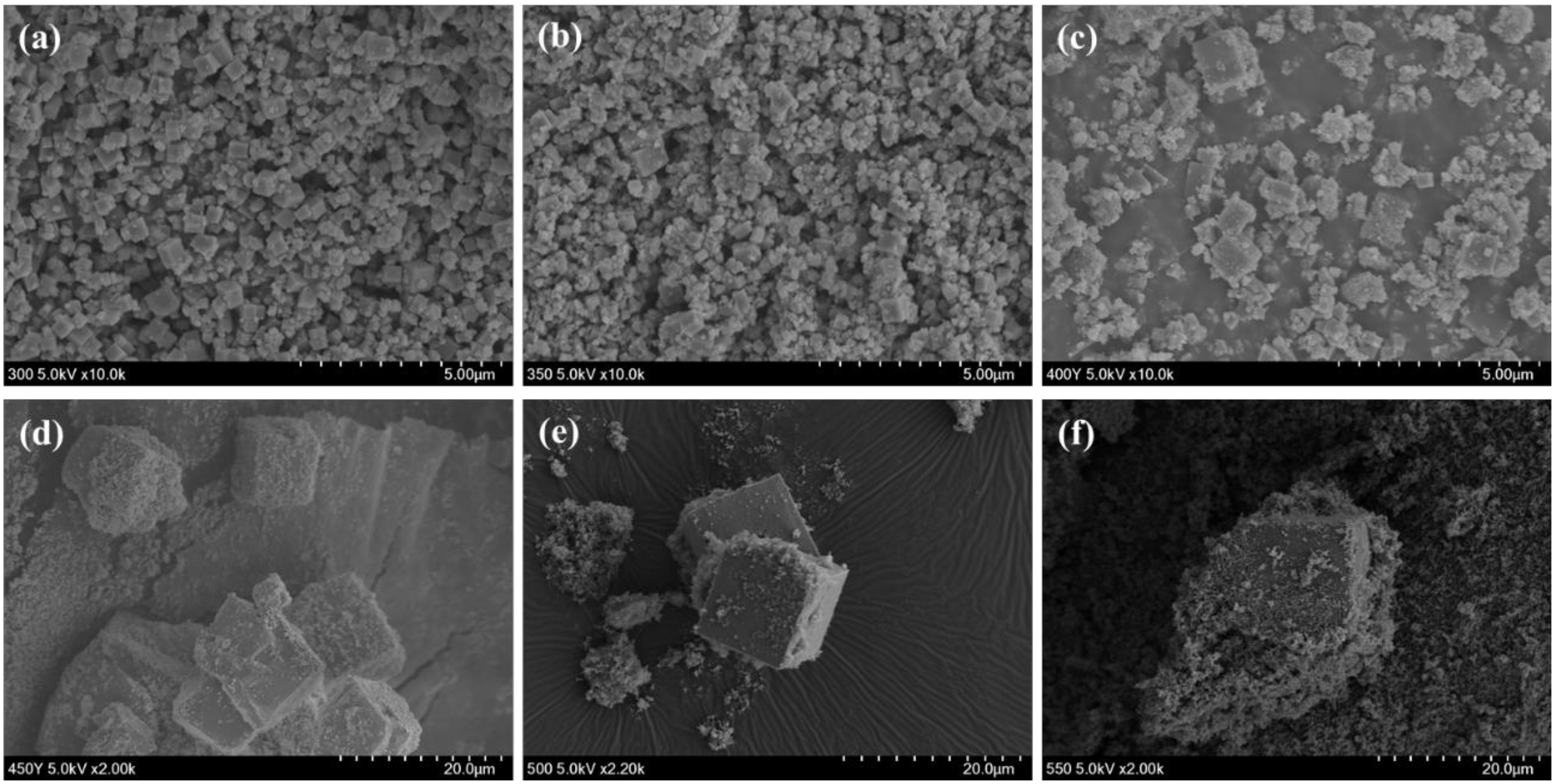 Polymers 13 00387 g002 Polymers 13 00387 g002
