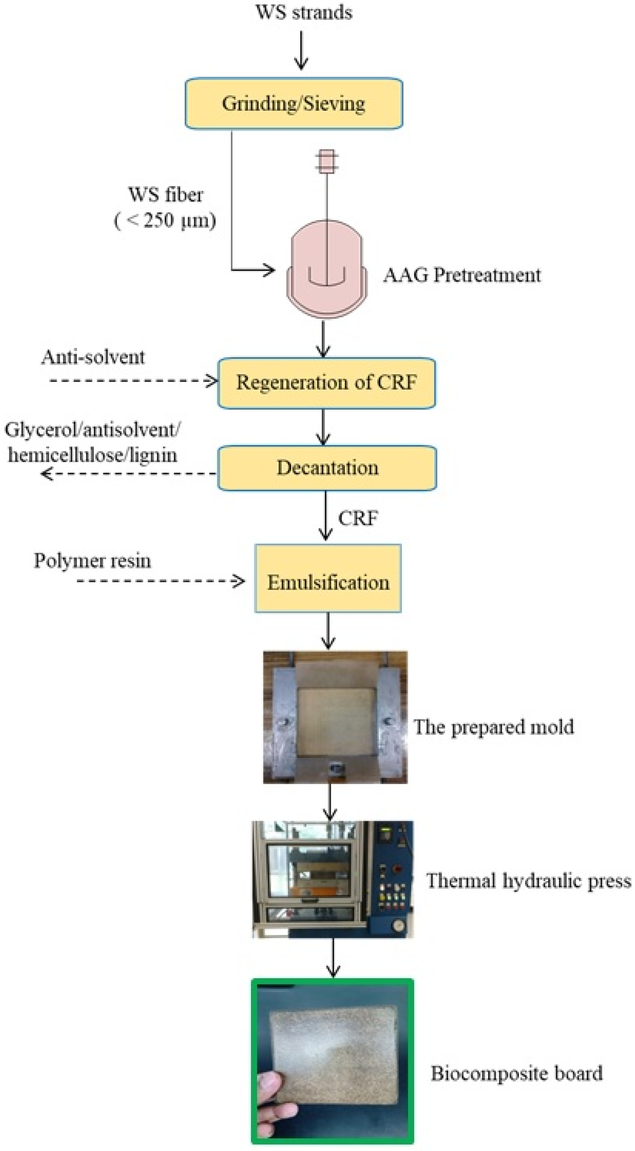 Polymers 13 00388 g001
