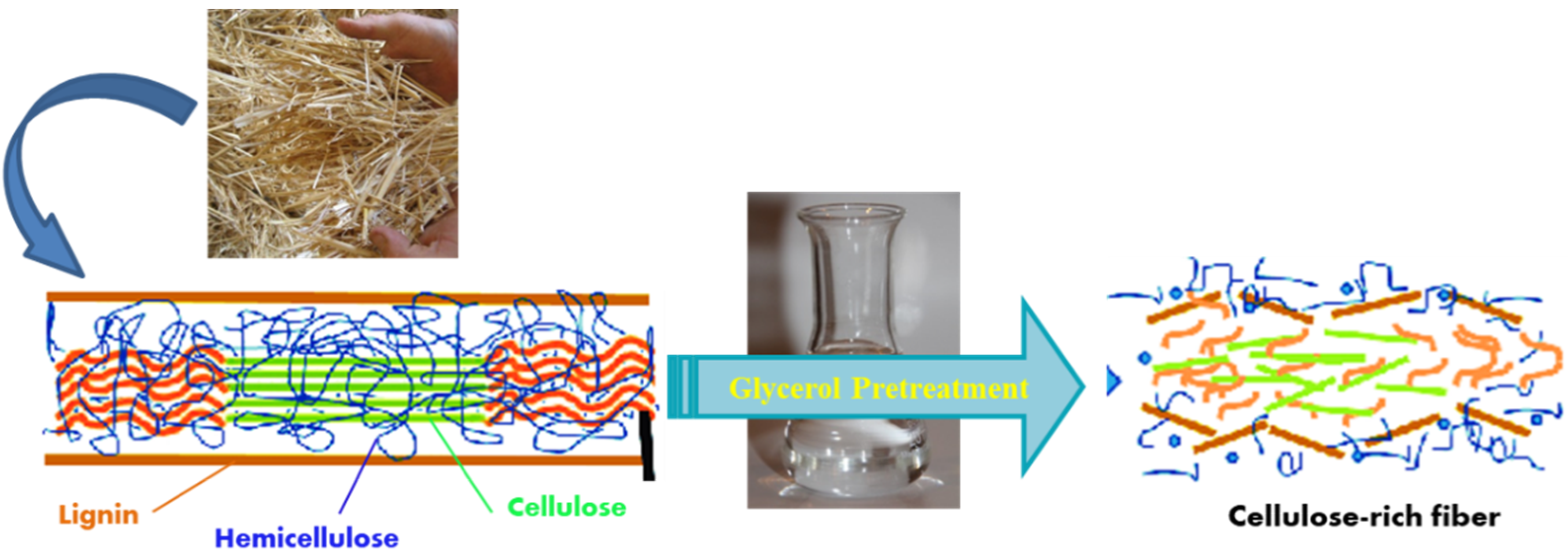 Polymers 13 00388 g003