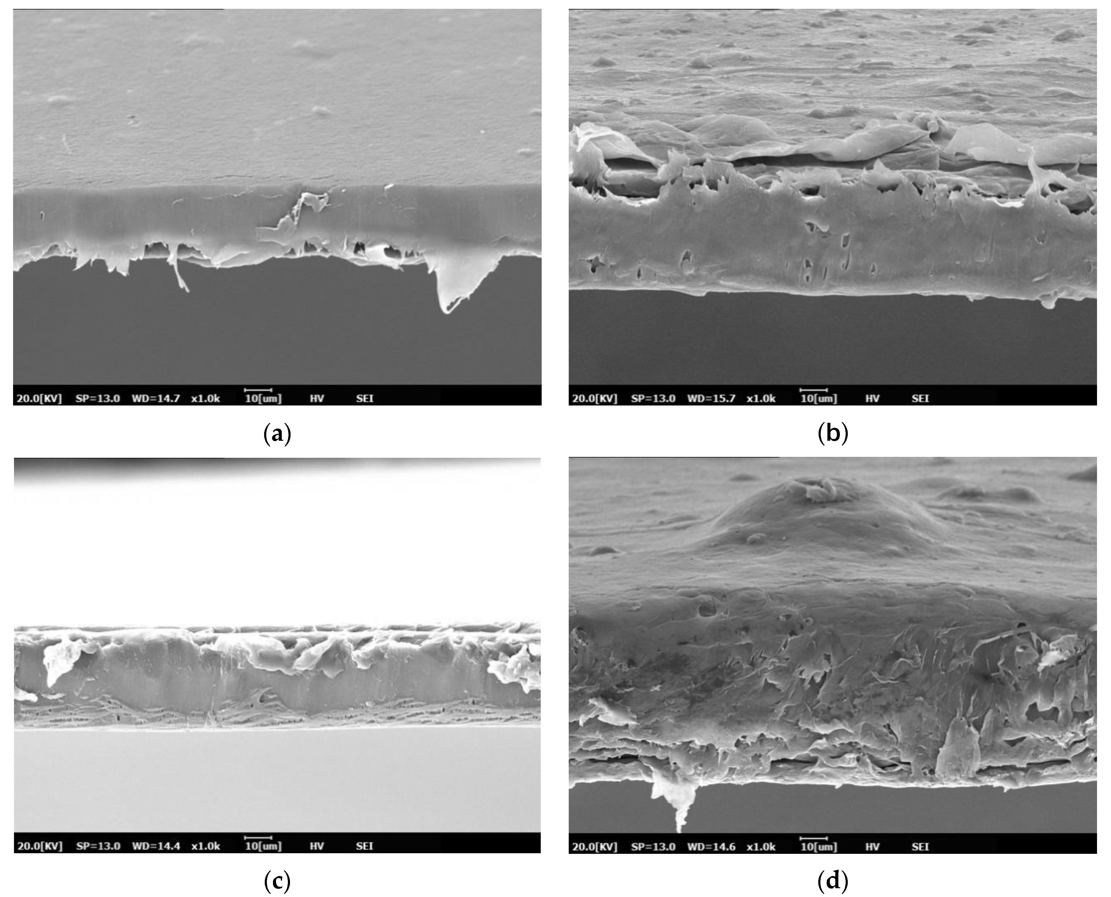Polymers 13 00391 g001a