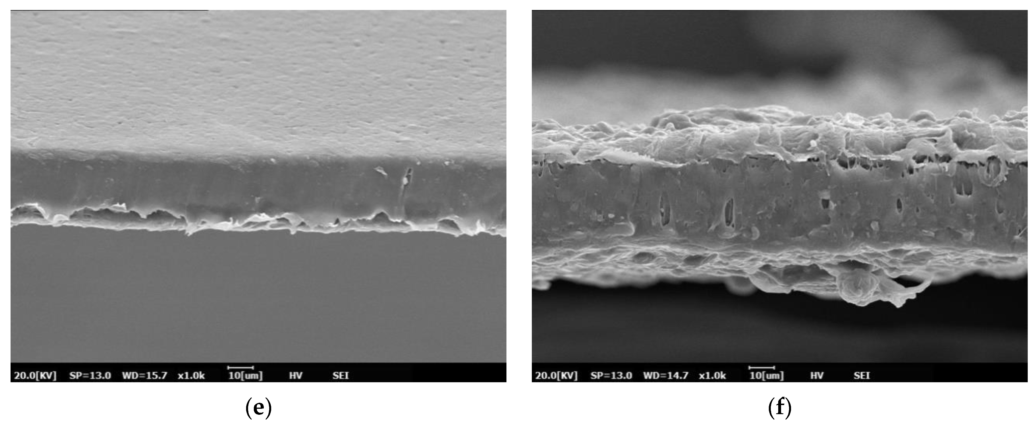 Polymers 13 00391 g001b