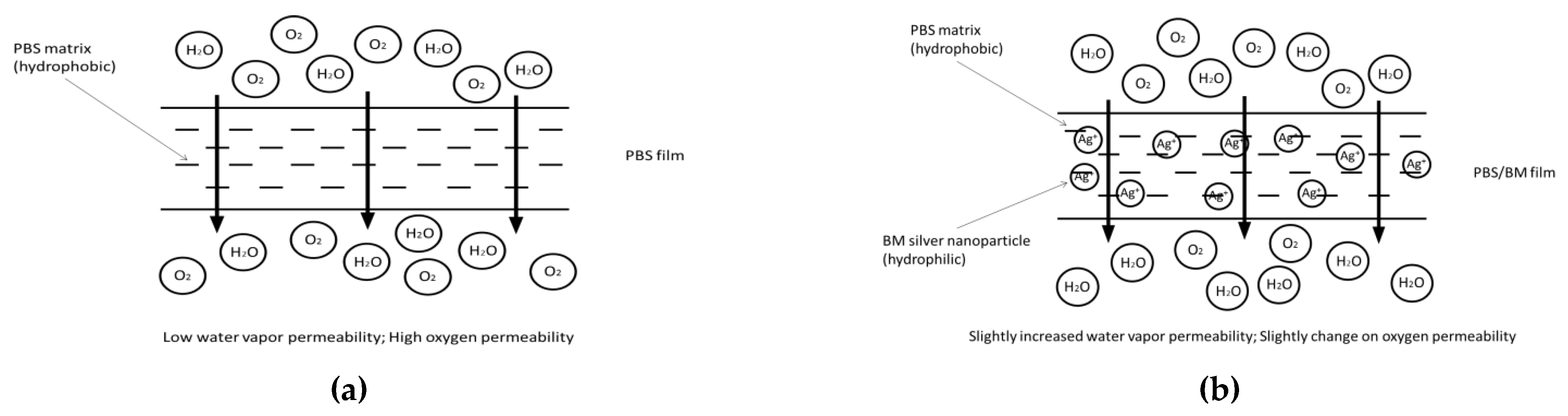 Polymers 13 00391 g006a