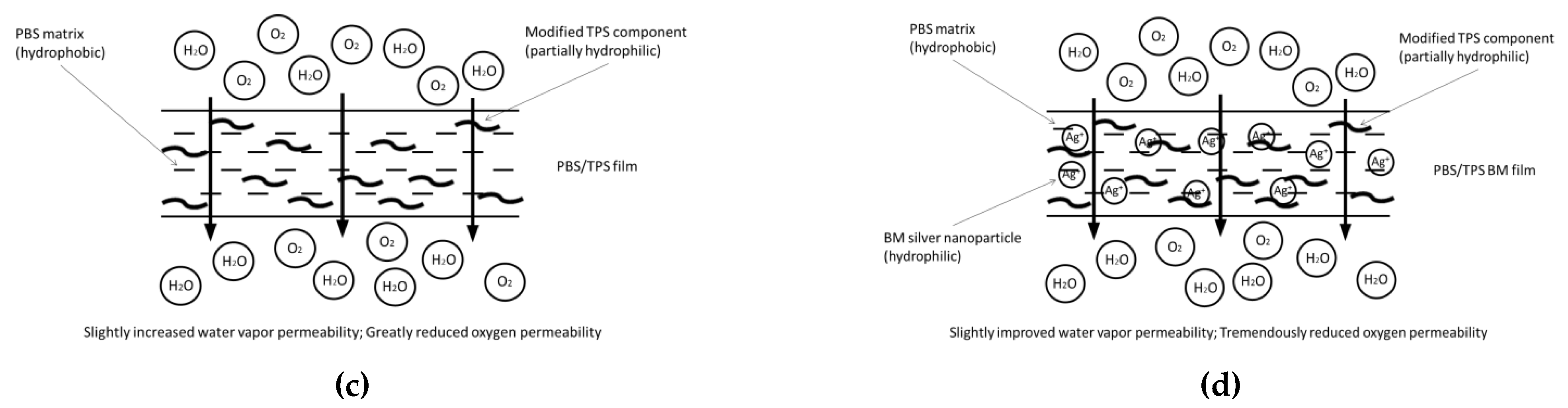 Polymers 13 00391 g006b