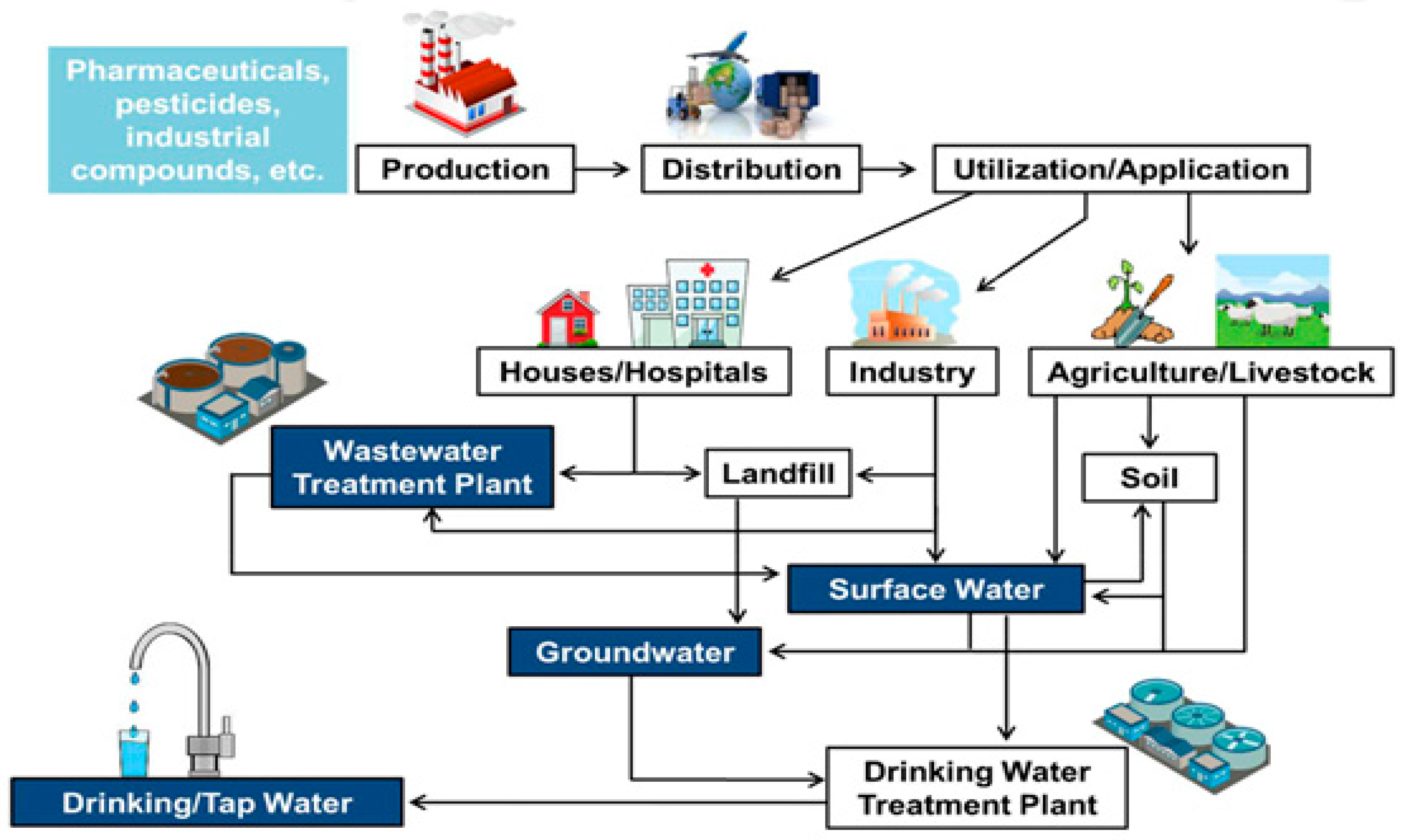 Polymers 13 00392 g001