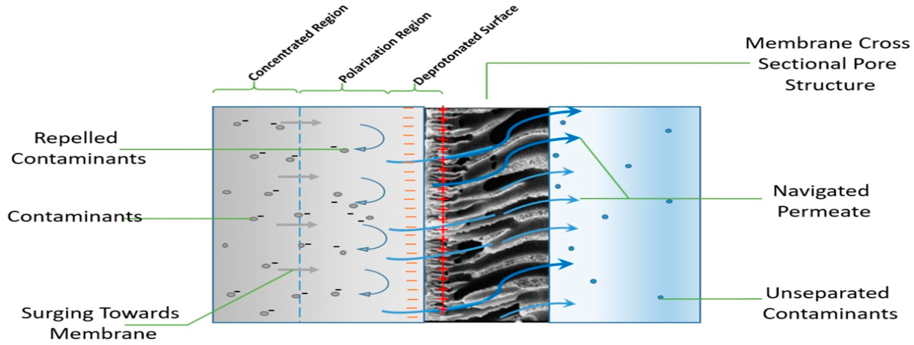 Polymers 13 00392 g002