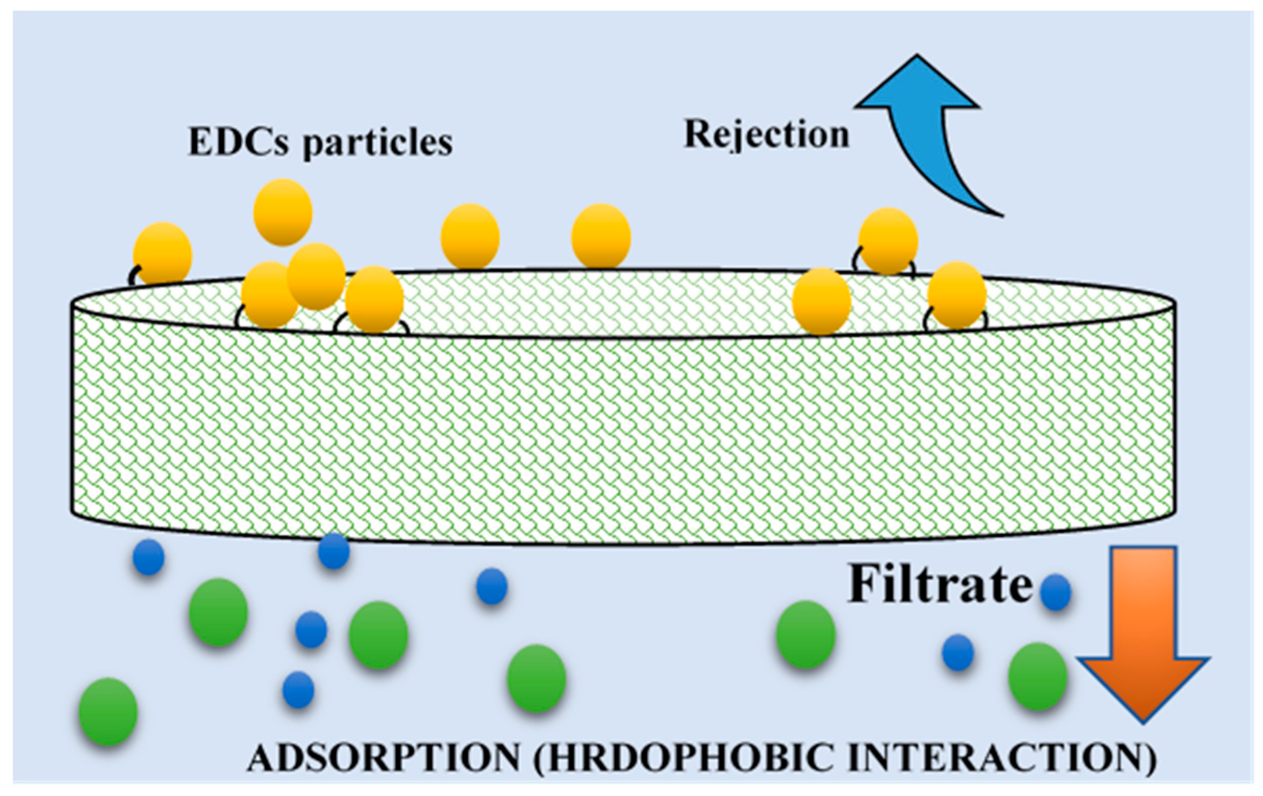 Polymers 13 00392 g003