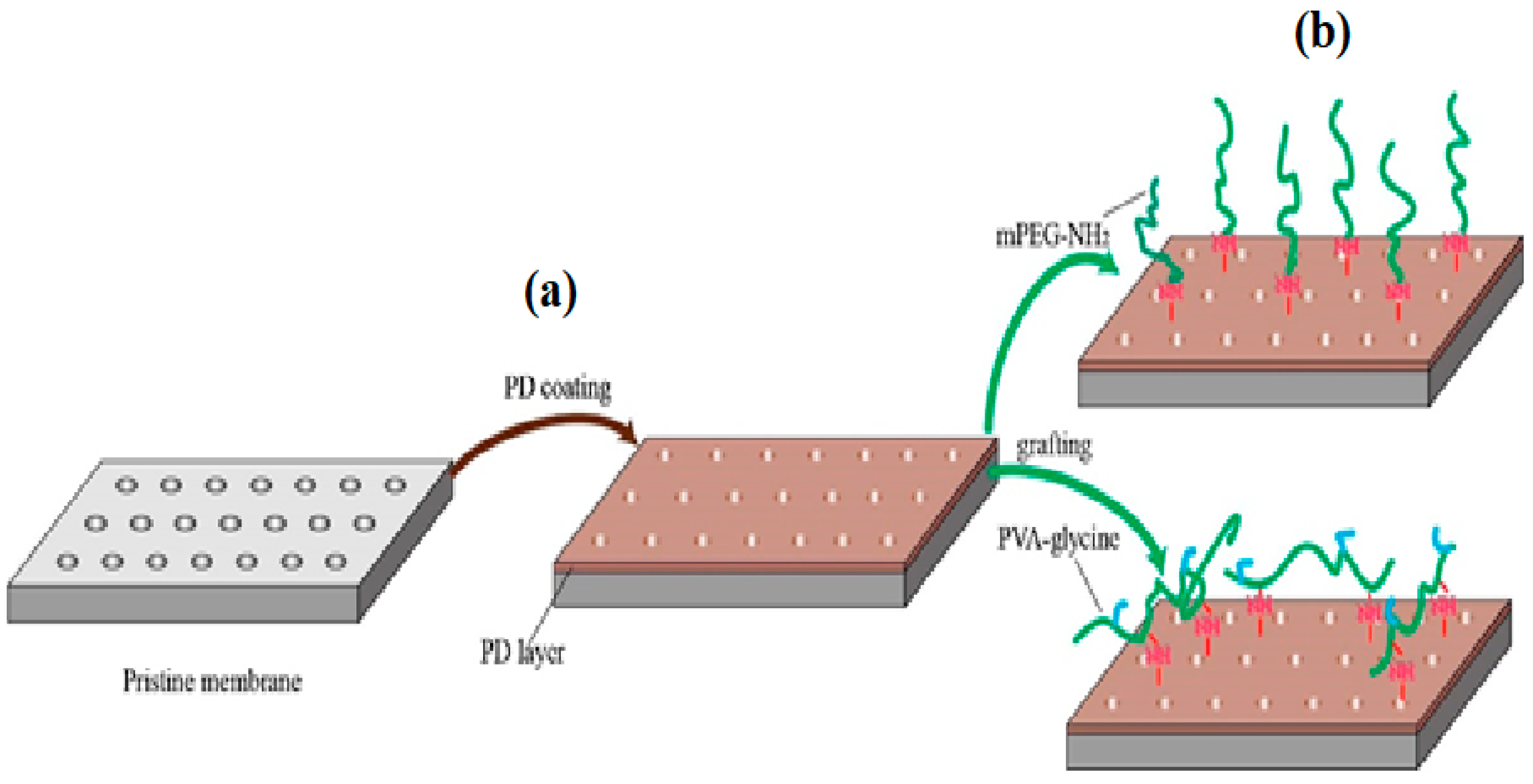 Polymers 13 00392 g007