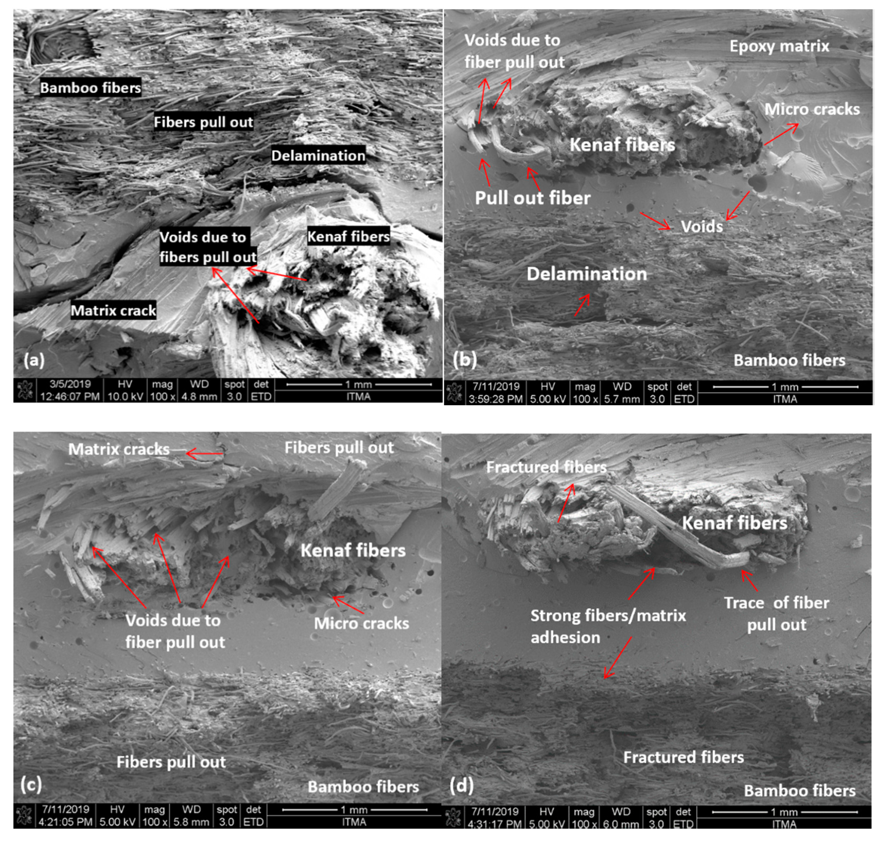 Polymers 13 00395 g007a Polymers 13 00395 g007a