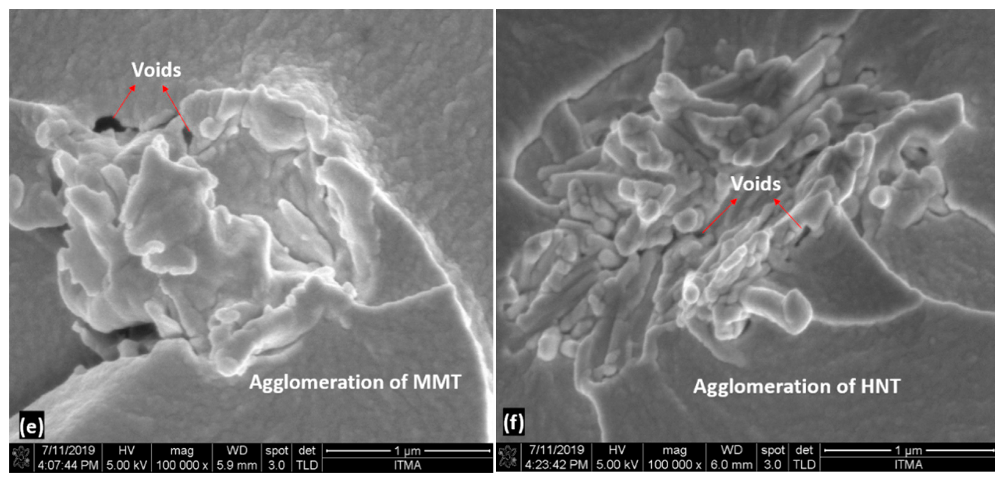 Polymers 13 00395 g007b Polymers 13 00395 g007b