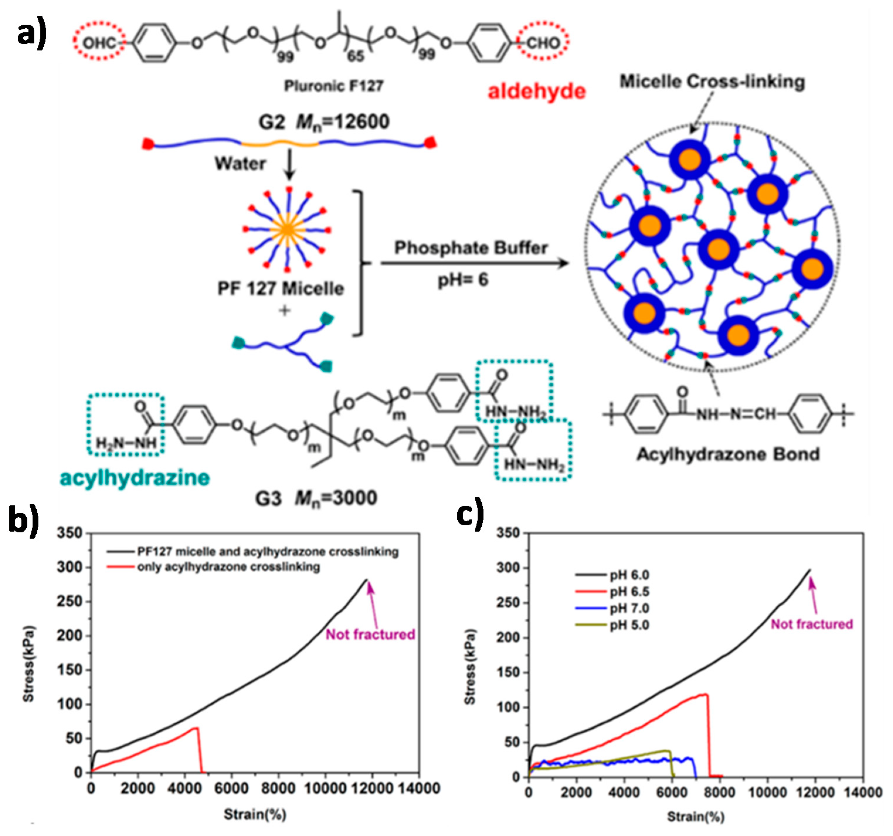 Polymers 13 00396 g011