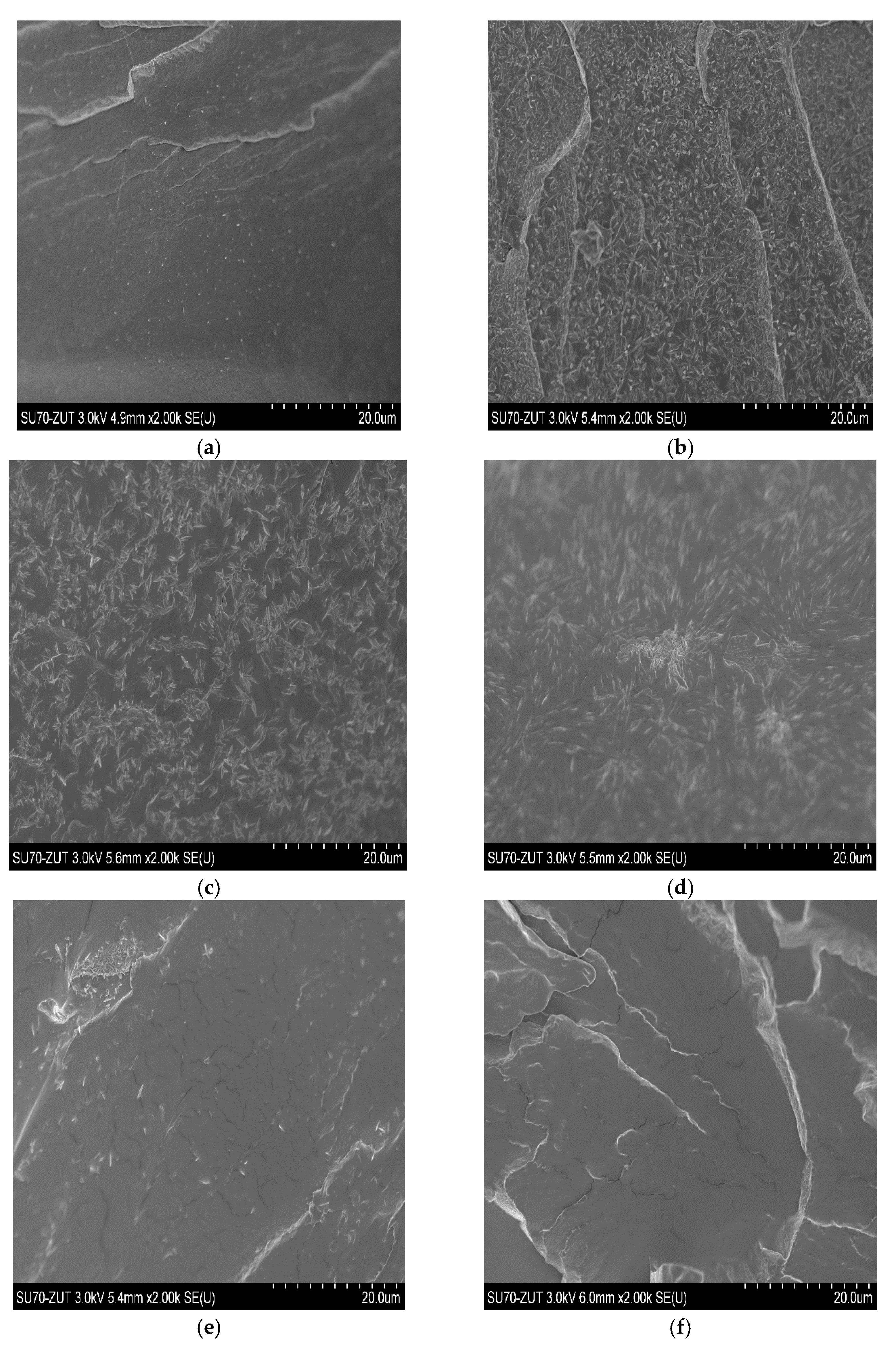 Polymers 13 00397 g007 Polymers 13 00397 g007