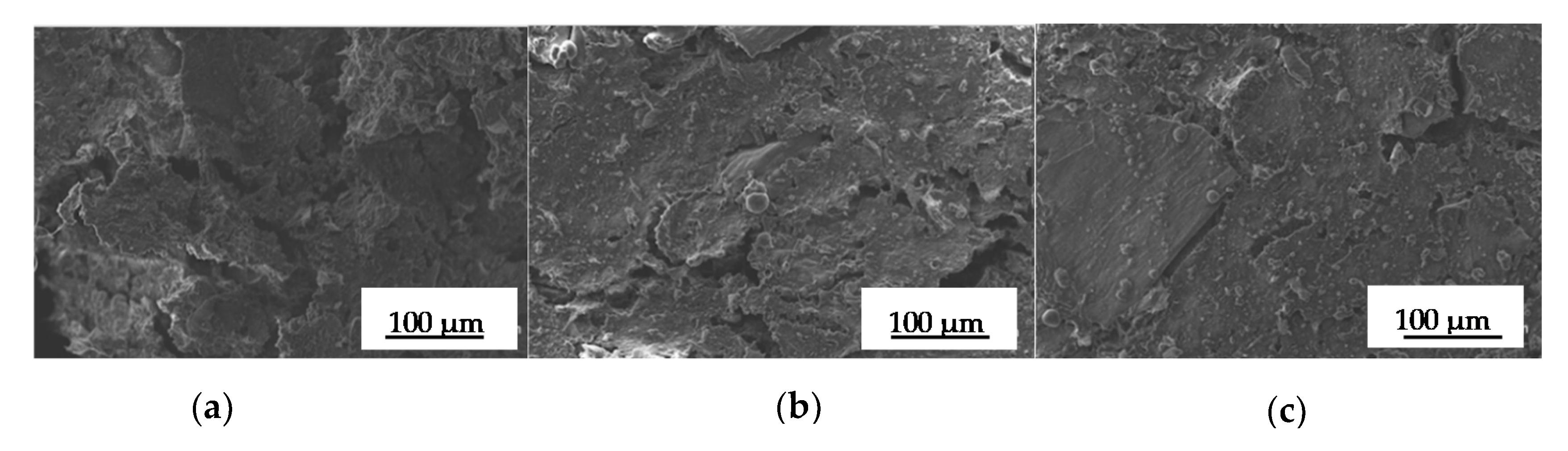 Polymers 13 00398 g005