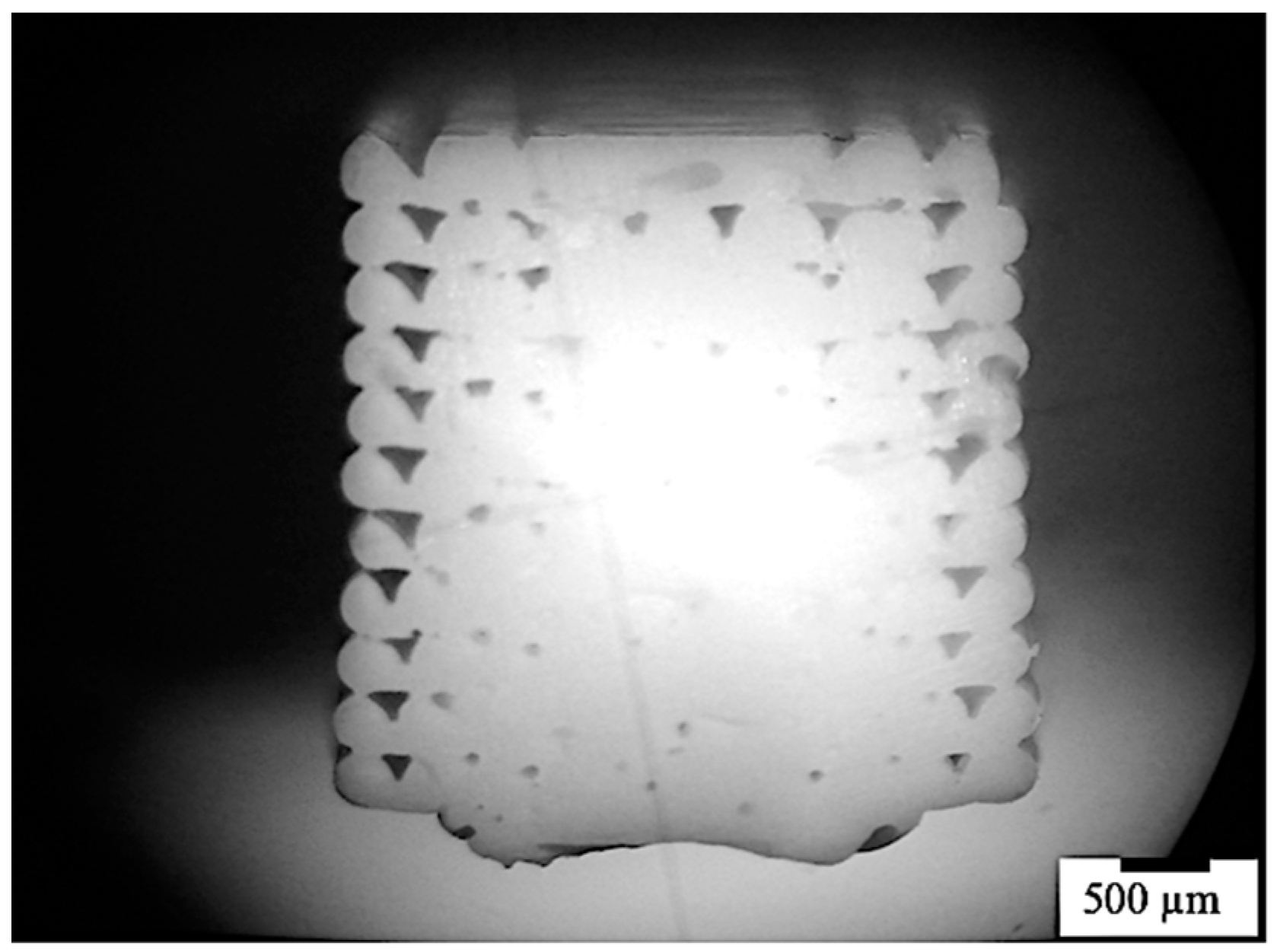 Polymers 13 00399 g005