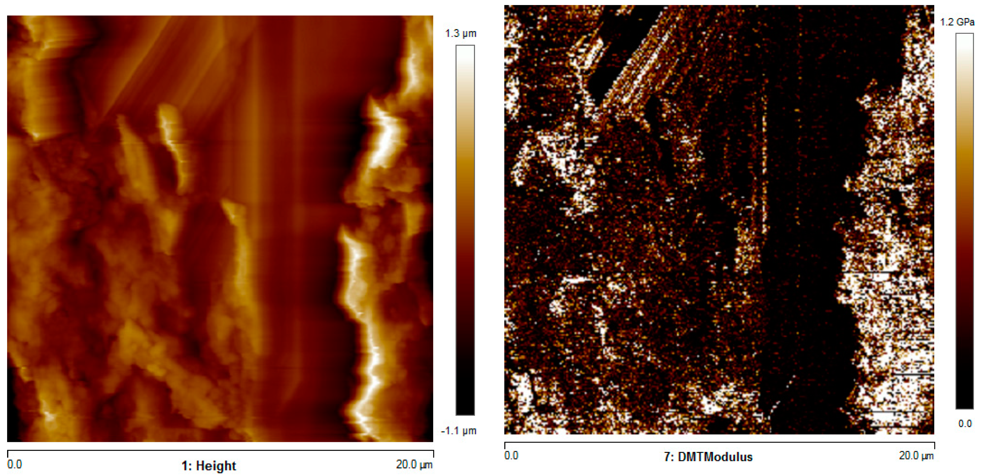 Polymers 13 00399 g011