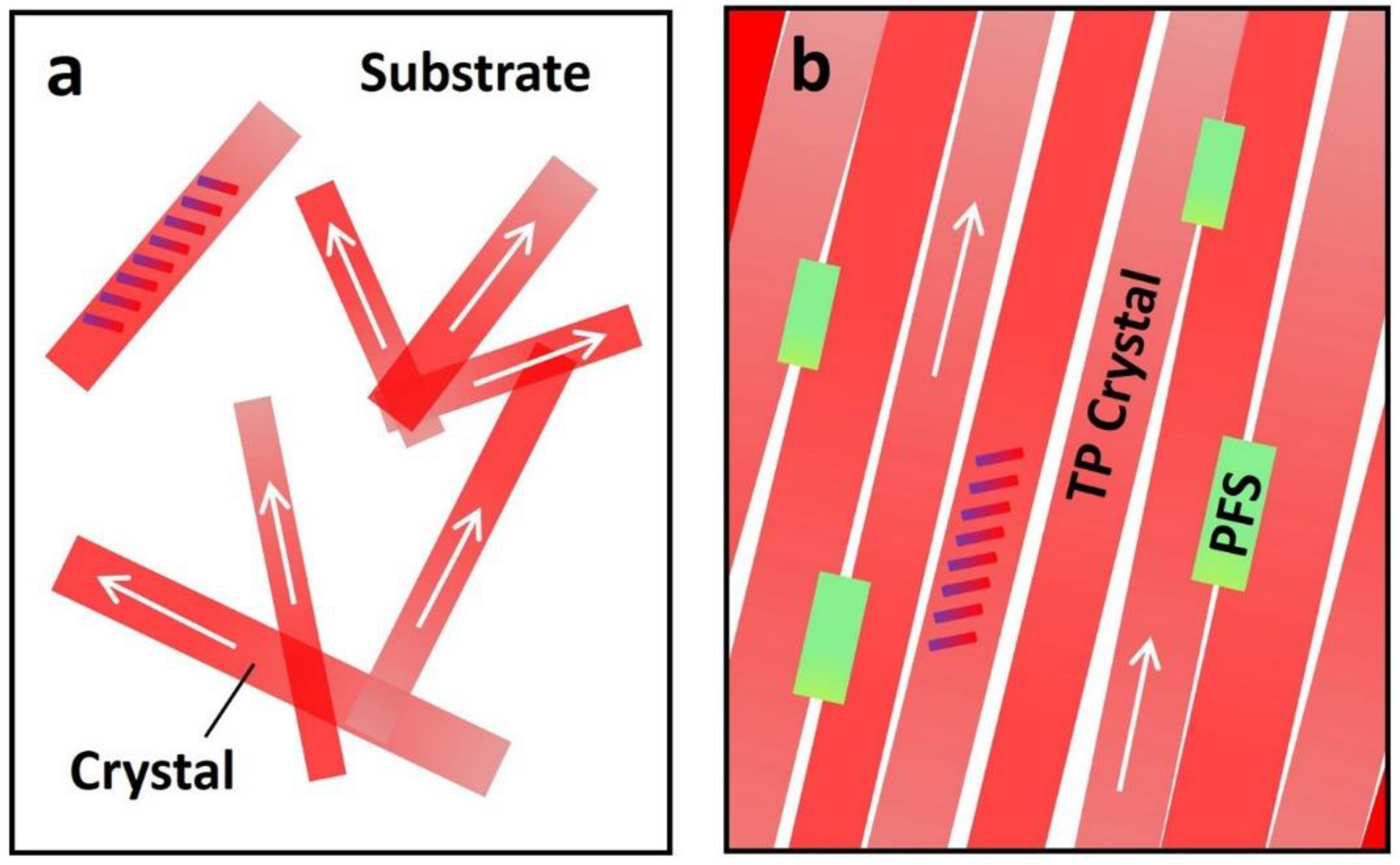 Polymers 13 00402 g005