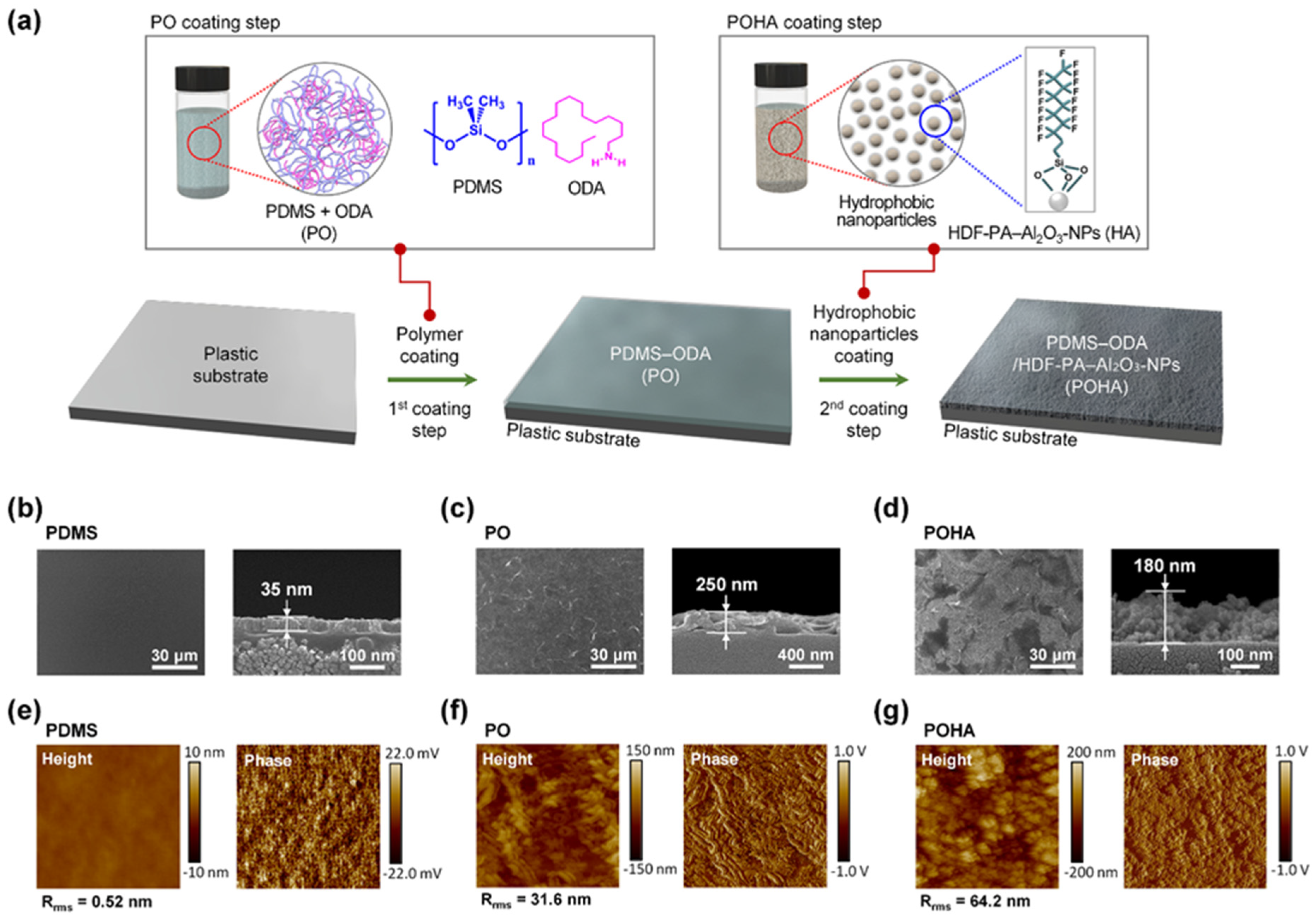 Polymers 13 00403 g001