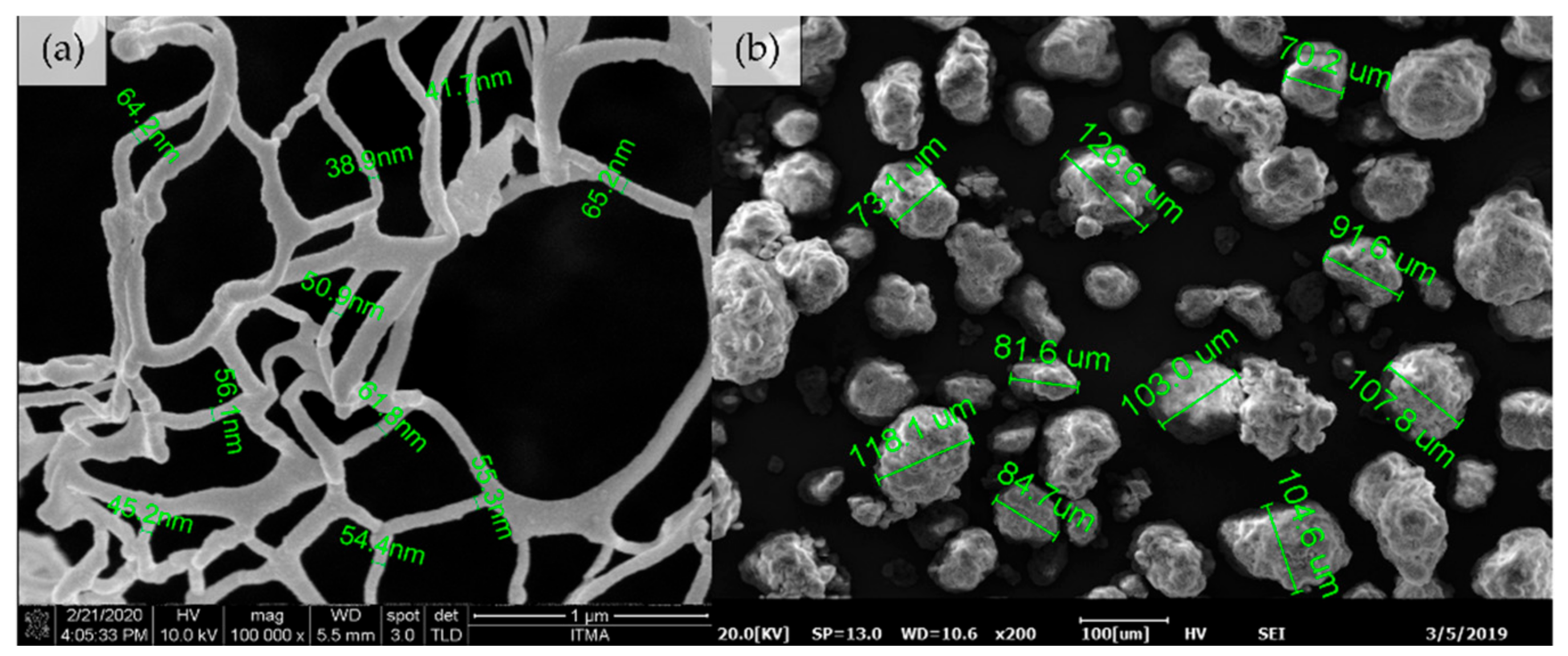 Polymers 13 00404 g004