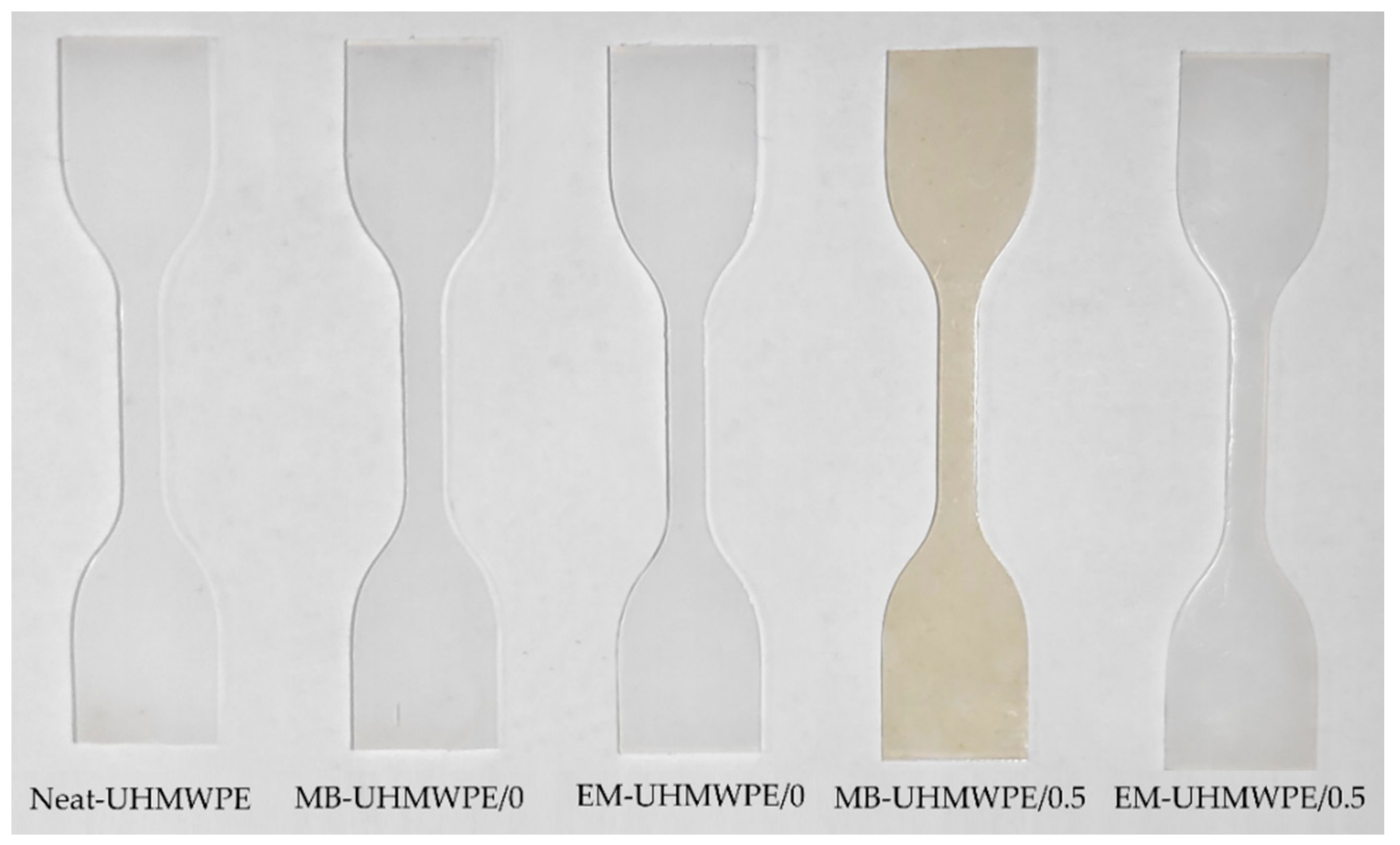 Polymers 13 00404 g005