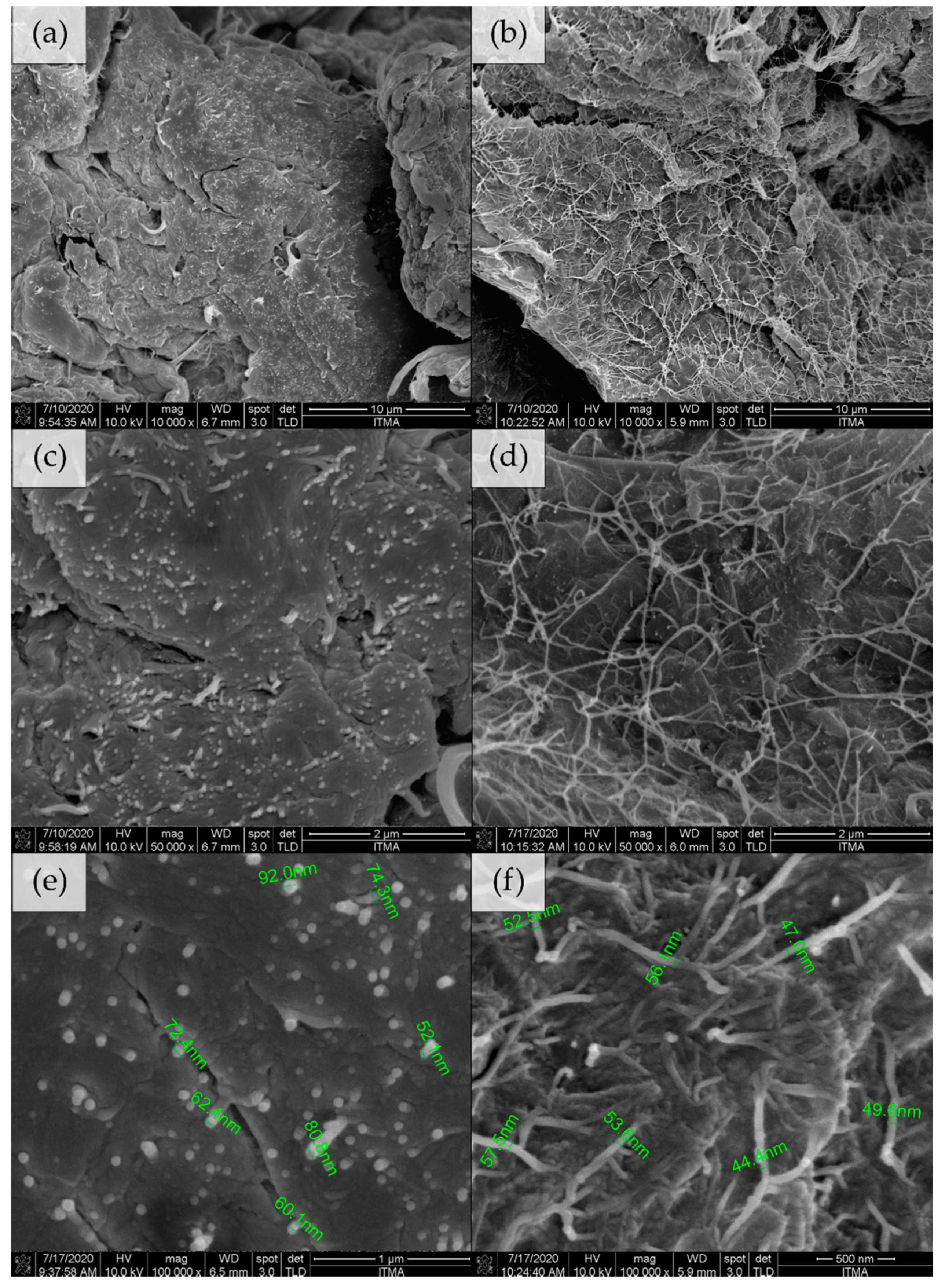 Polymers 13 00404 g006