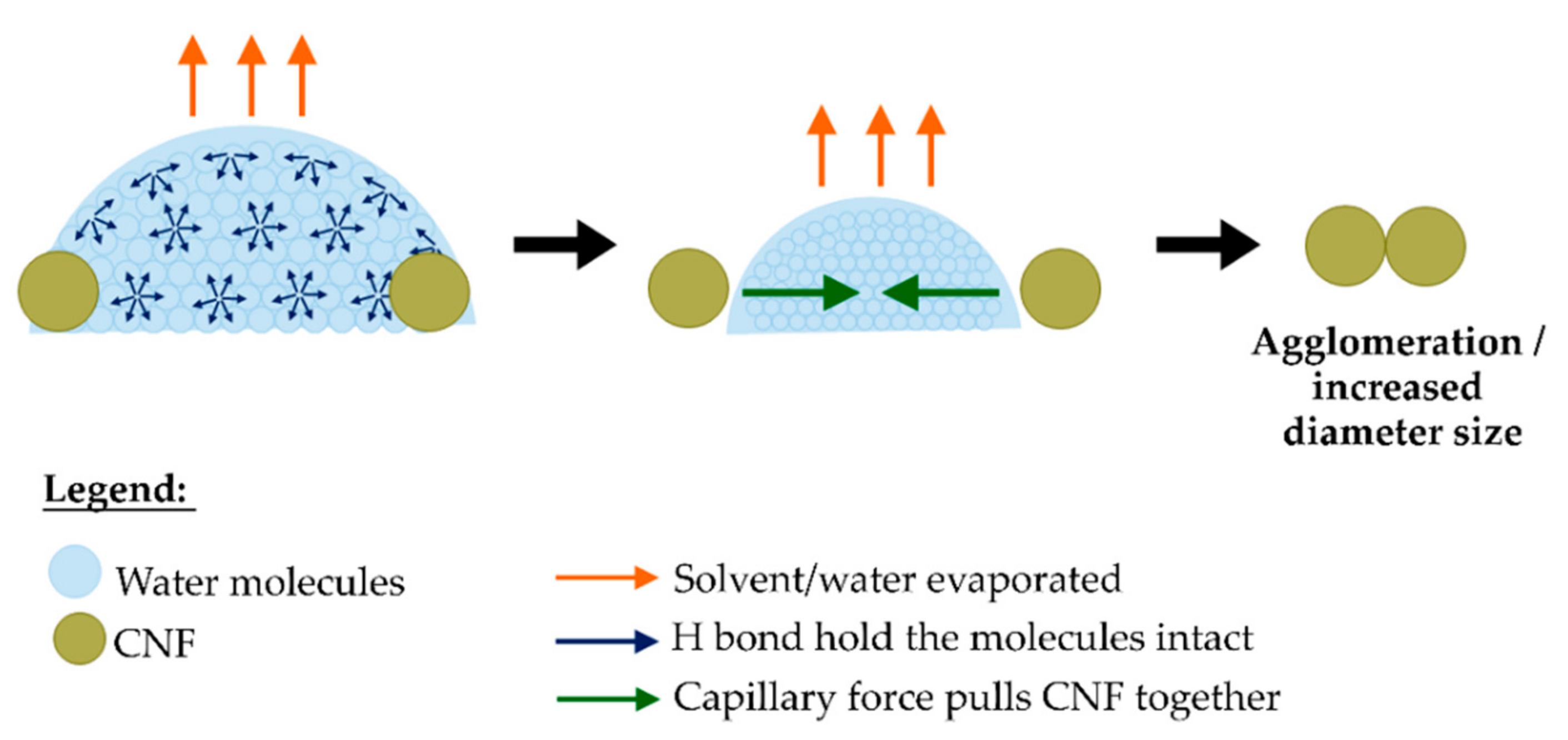 Polymers 13 00404 g007