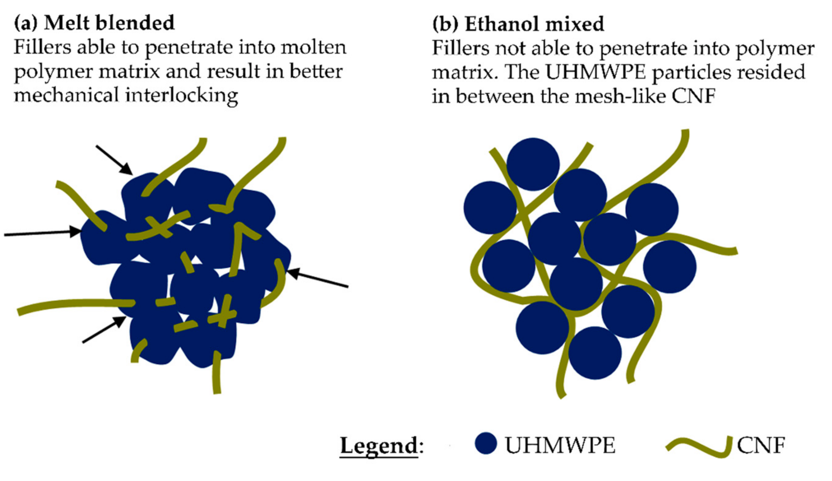 Polymers 13 00404 g008