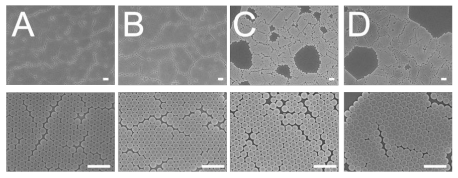 Polymers 13 00405 g003