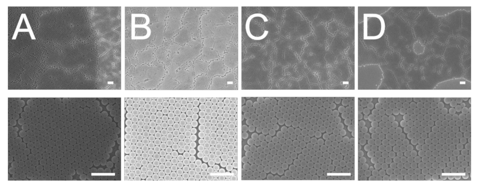 Polymers 13 00405 g004