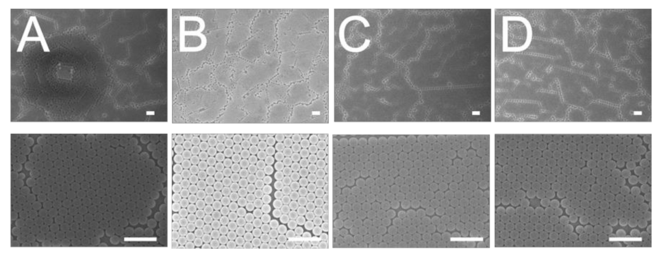 Polymers 13 00405 g005