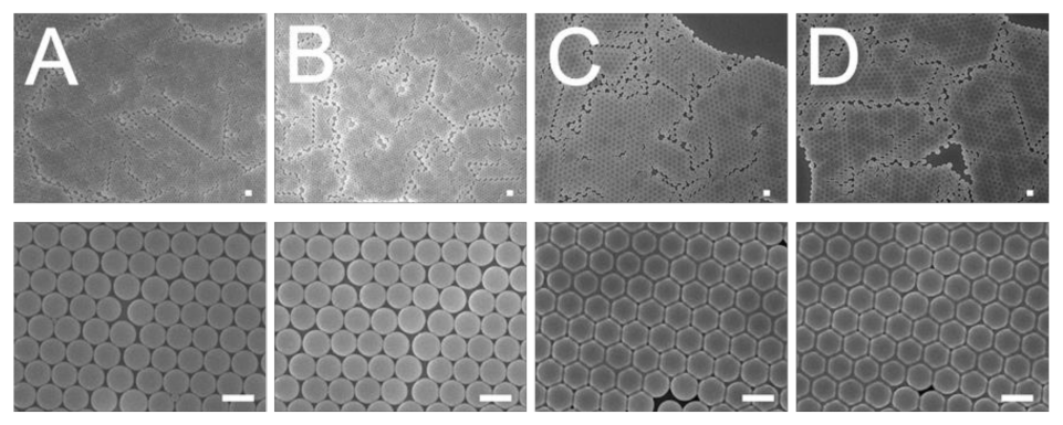 Polymers 13 00405 g006