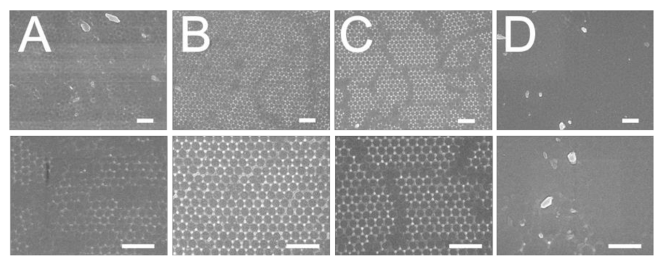 Polymers 13 00405 g009