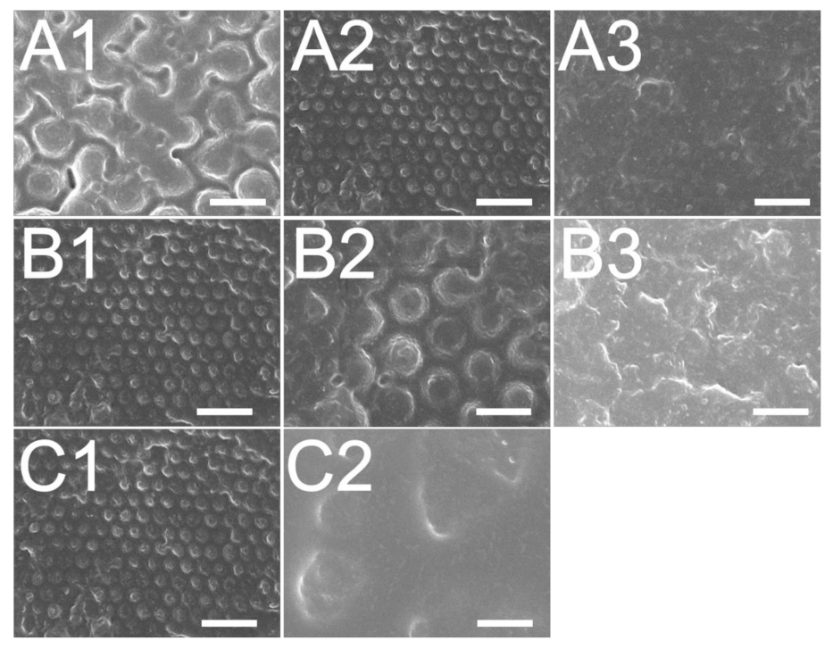 Polymers 13 00405 g011