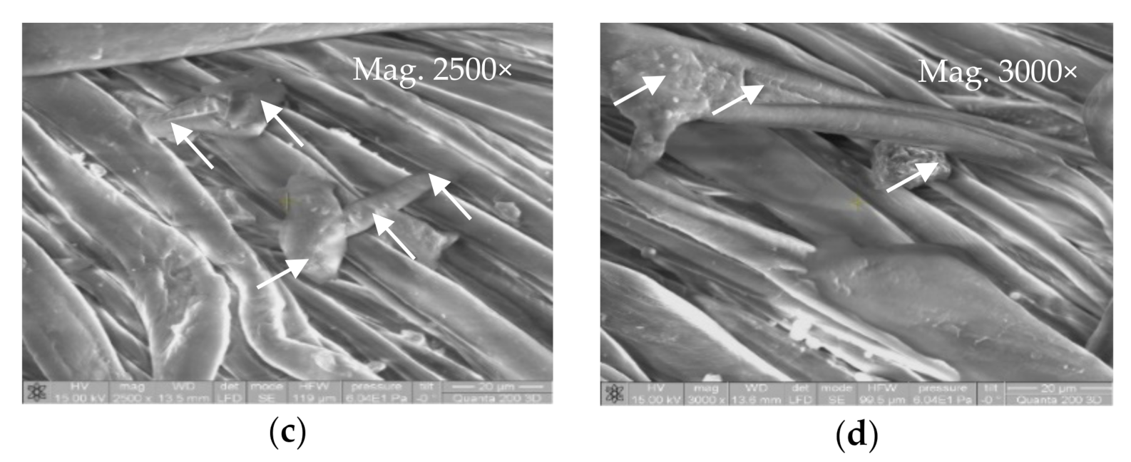 Polymers 13 00410 g005b