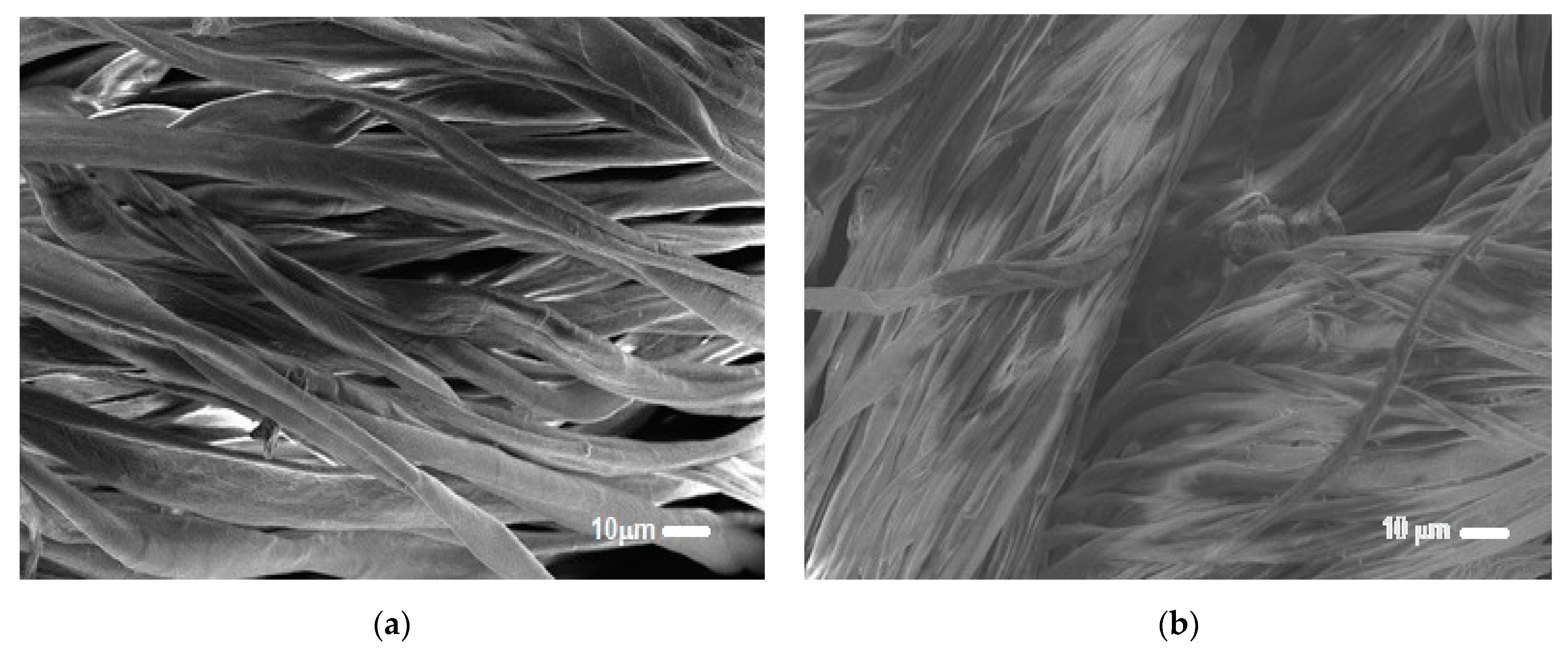 Polymers 13 00411 g005