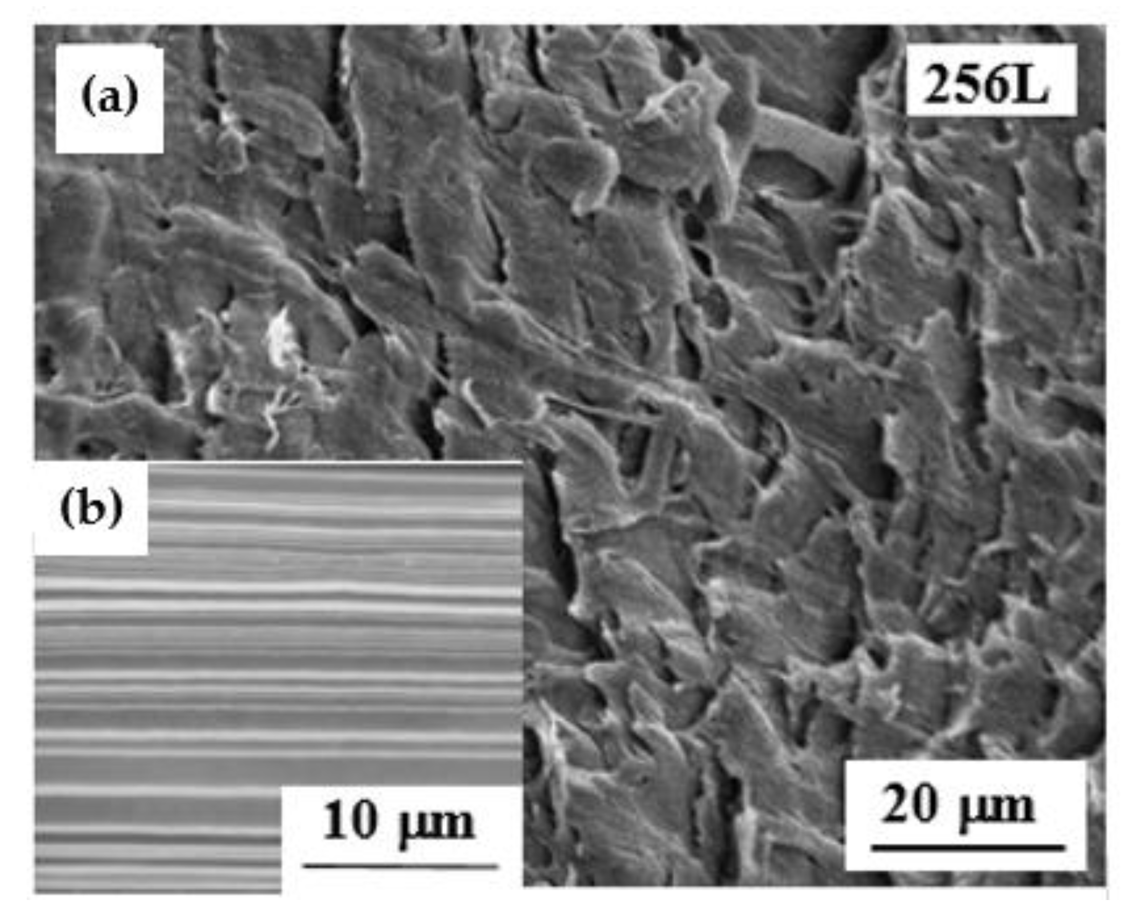 Polymers 13 00413 g010