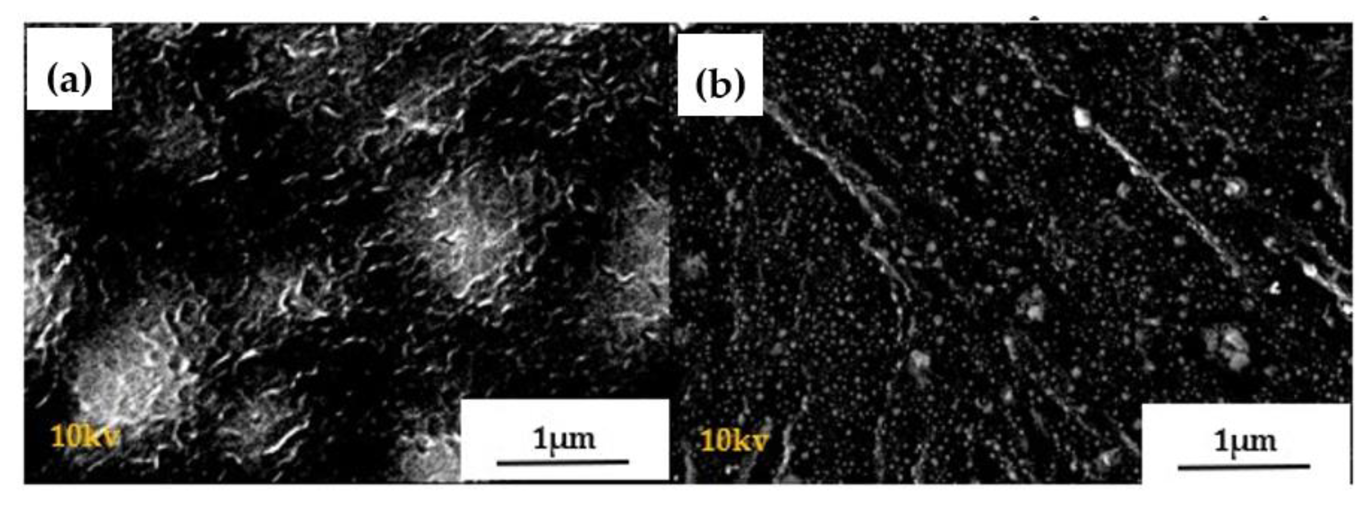 Polymers 13 00413 g0a1