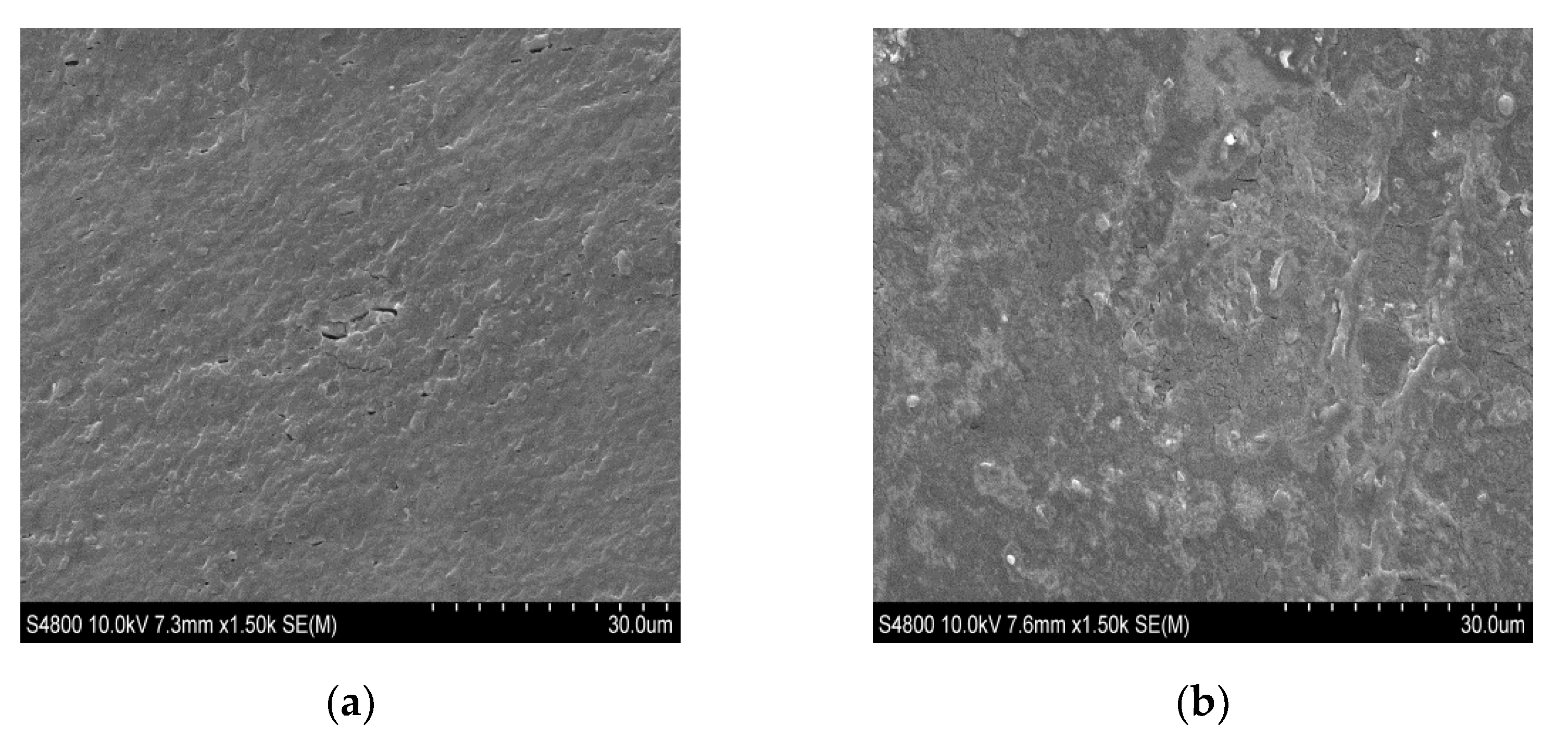 Polymers 13 00416 g006 Polymers 13 00416 g006
