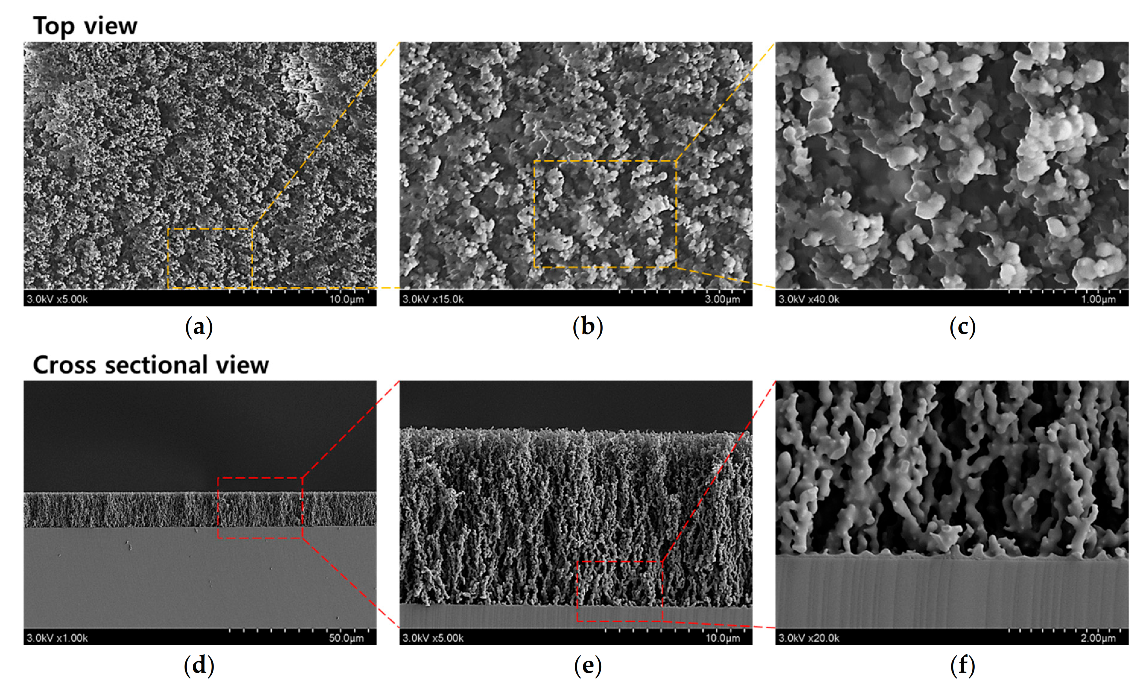 Polymers 13 00418 g004