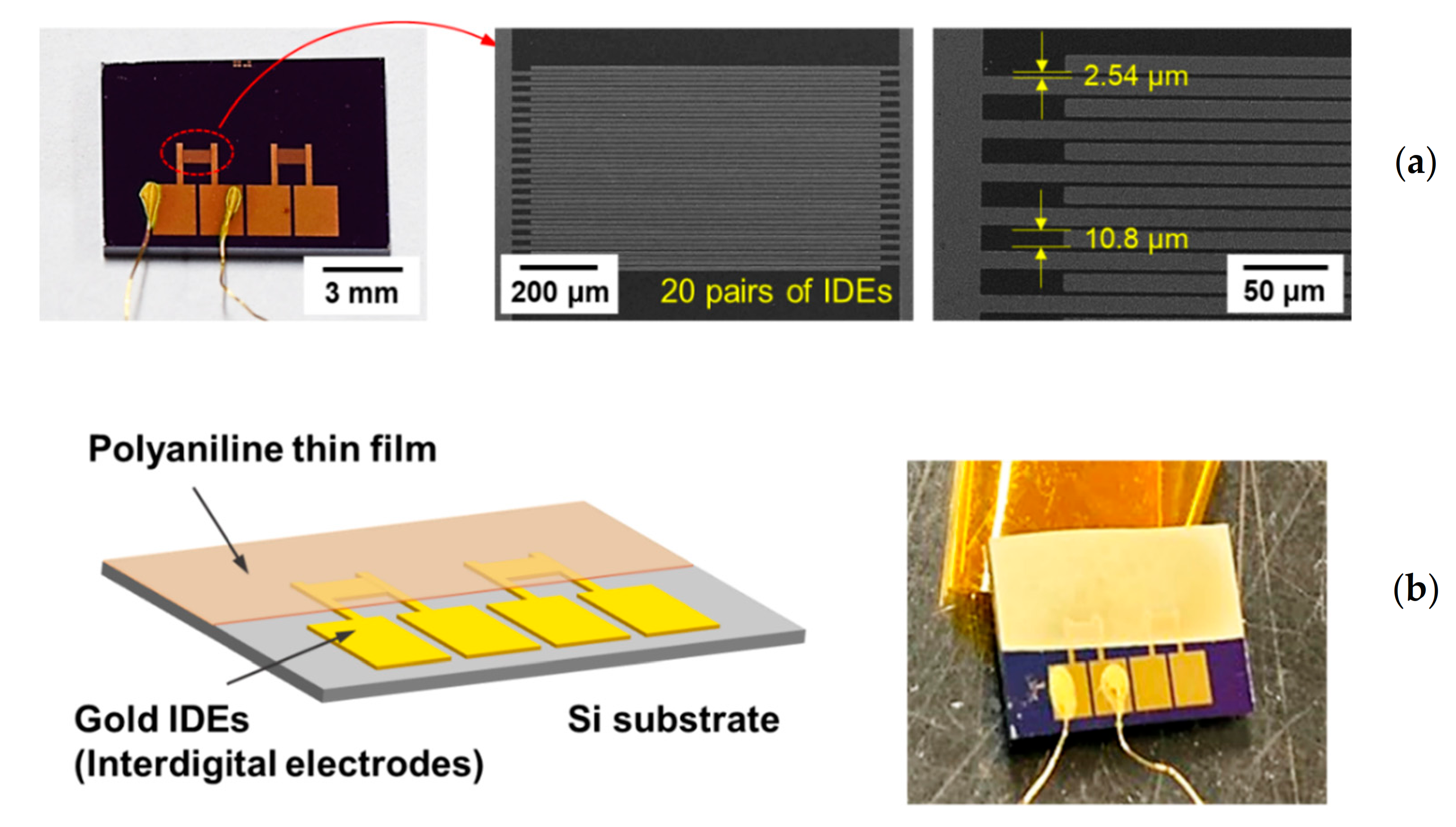 Polymers 13 00418 g006