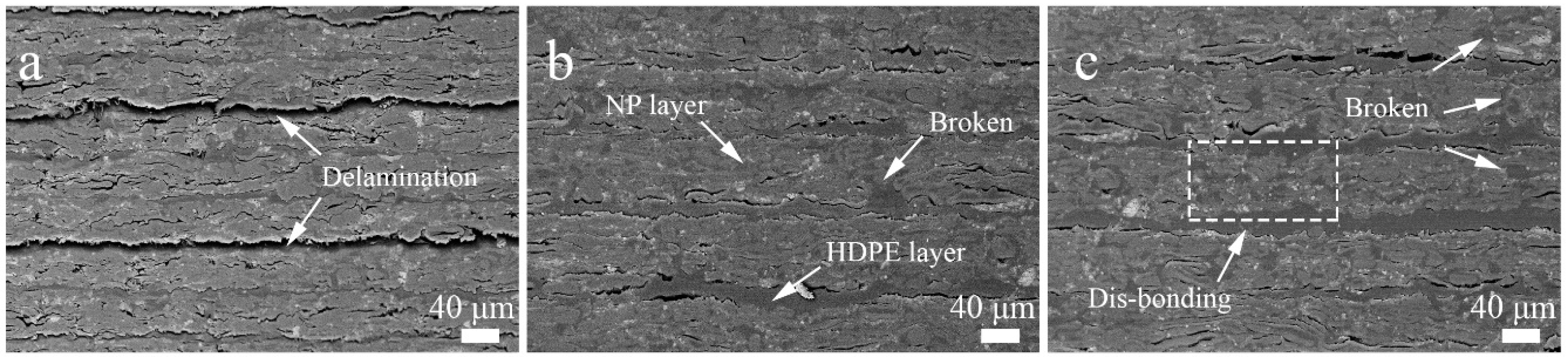 Polymers 13 00421 g002 Polymers 13 00421 g002